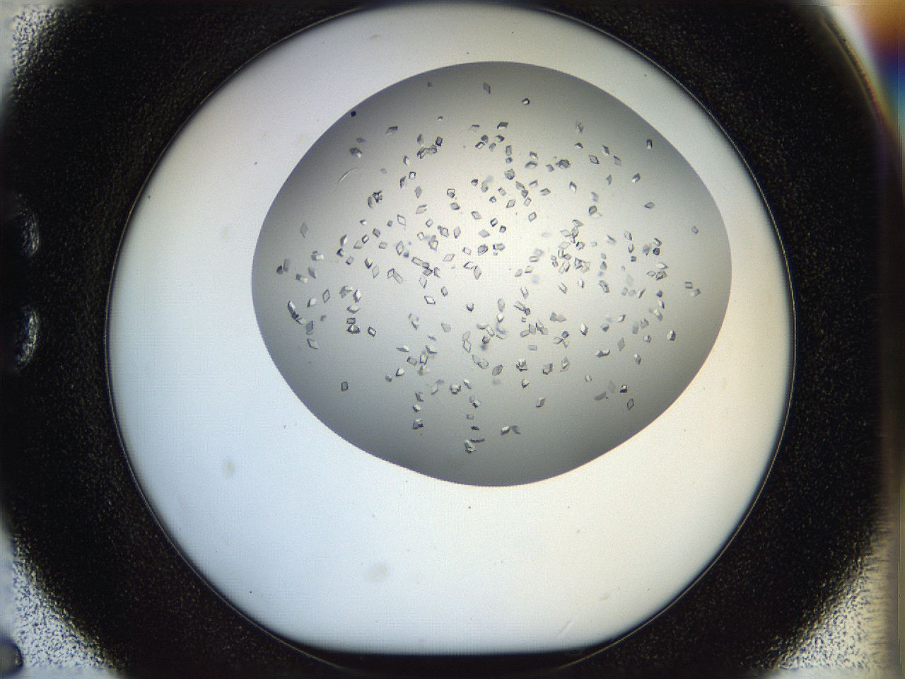 05jp_C6_ImagerDefaults_8.jpg