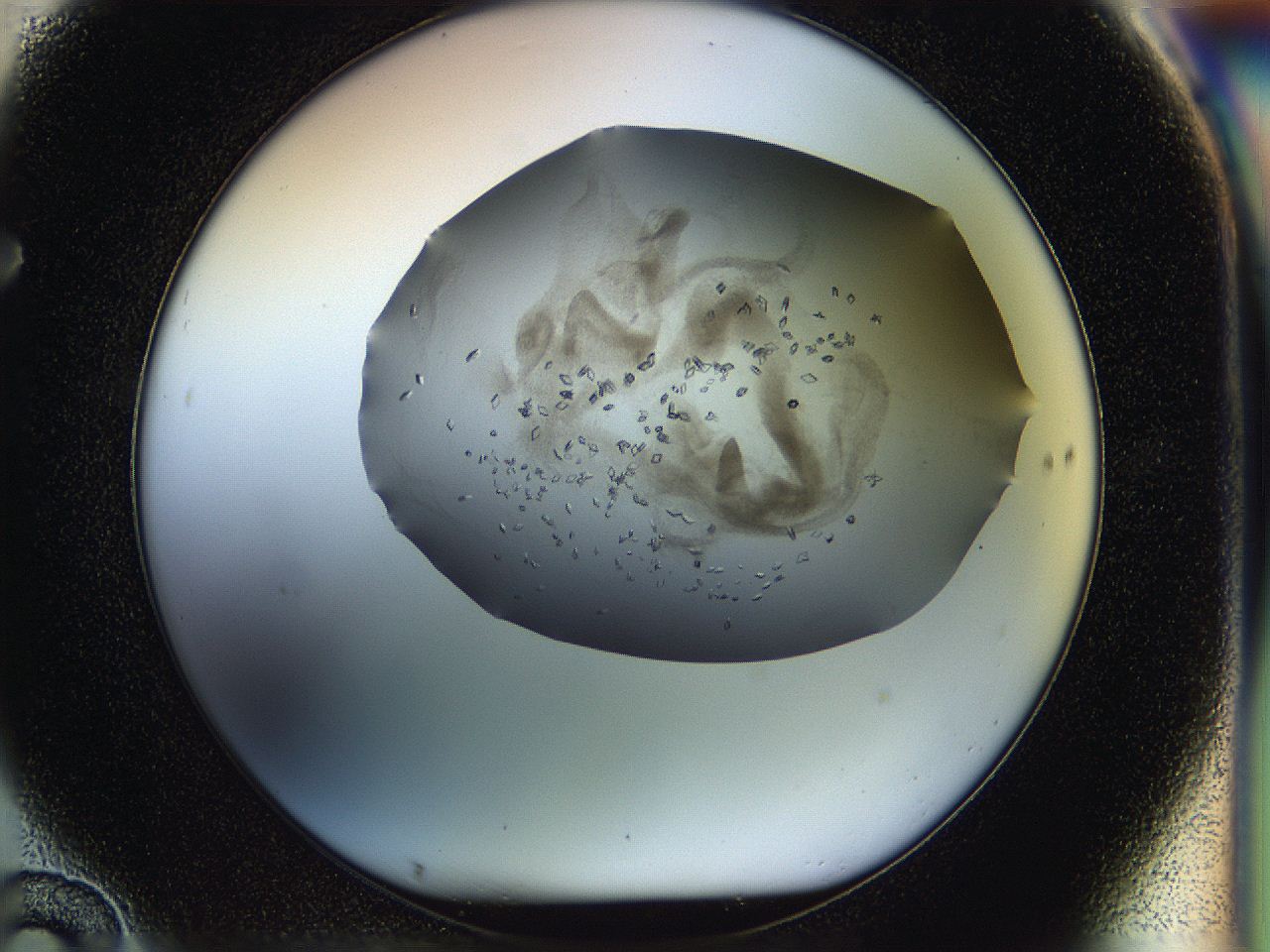 05jp_F10_ImagerDefaults_7.jpg