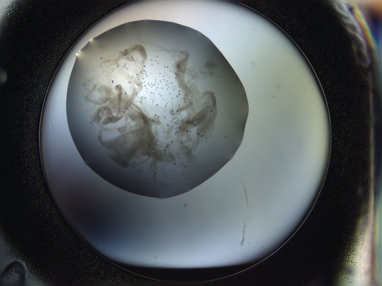 05jp_F11_ImagerDefaults_7.jpg