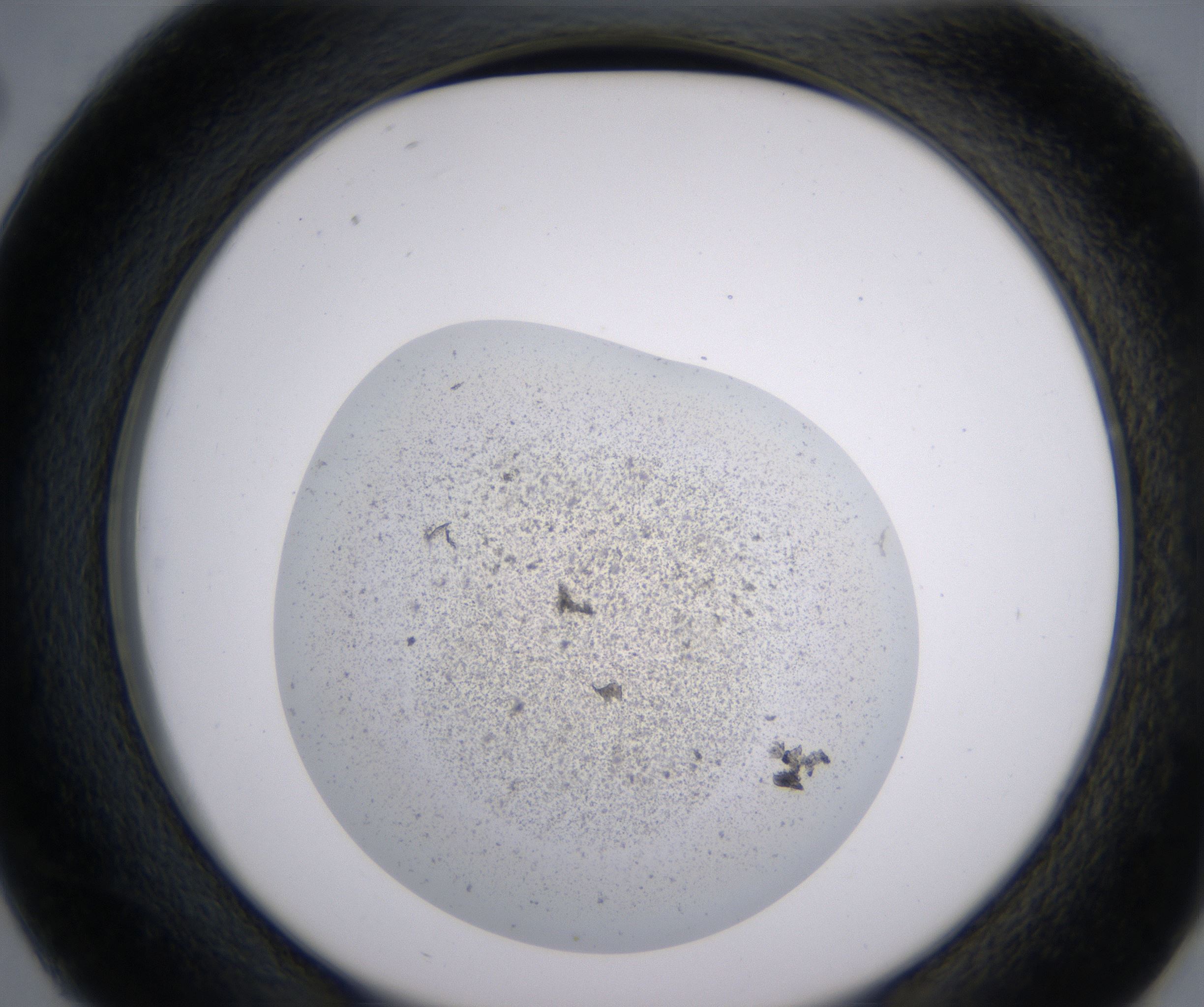 D2_HighResolution_Precipitate_2.jpg