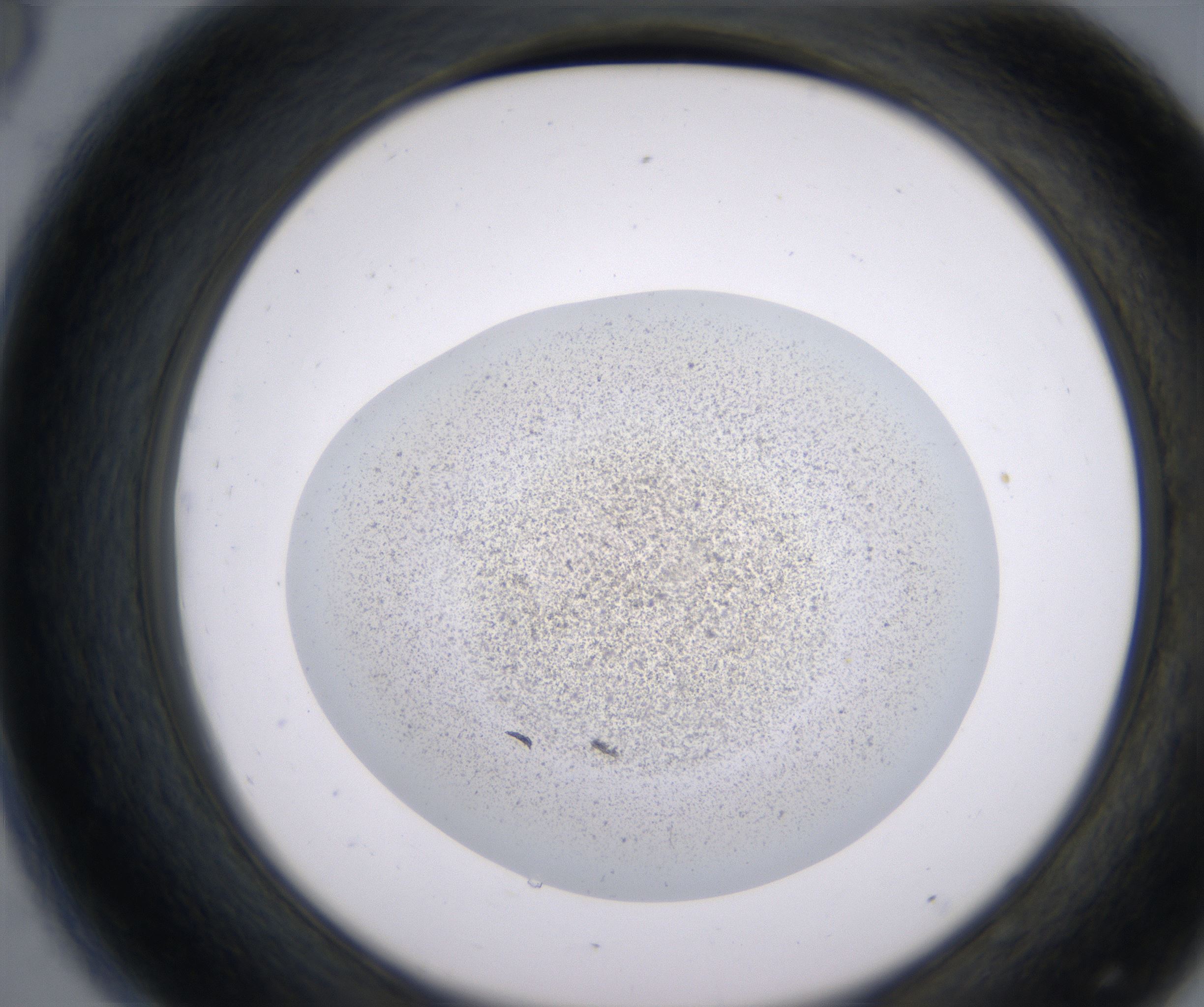D8_HighResolution_Precipitate_2.jpg