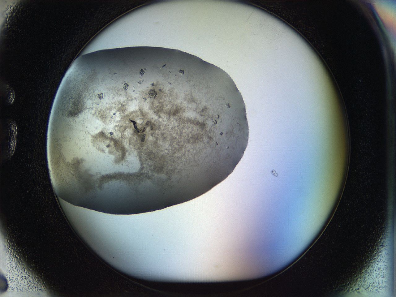 05jp_G6_ImagerDefaults_6.jpg