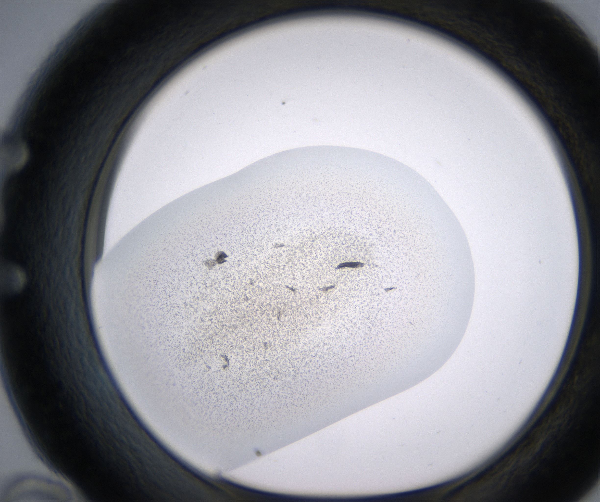 E10_HighResolution_Precipitate_1.jpg