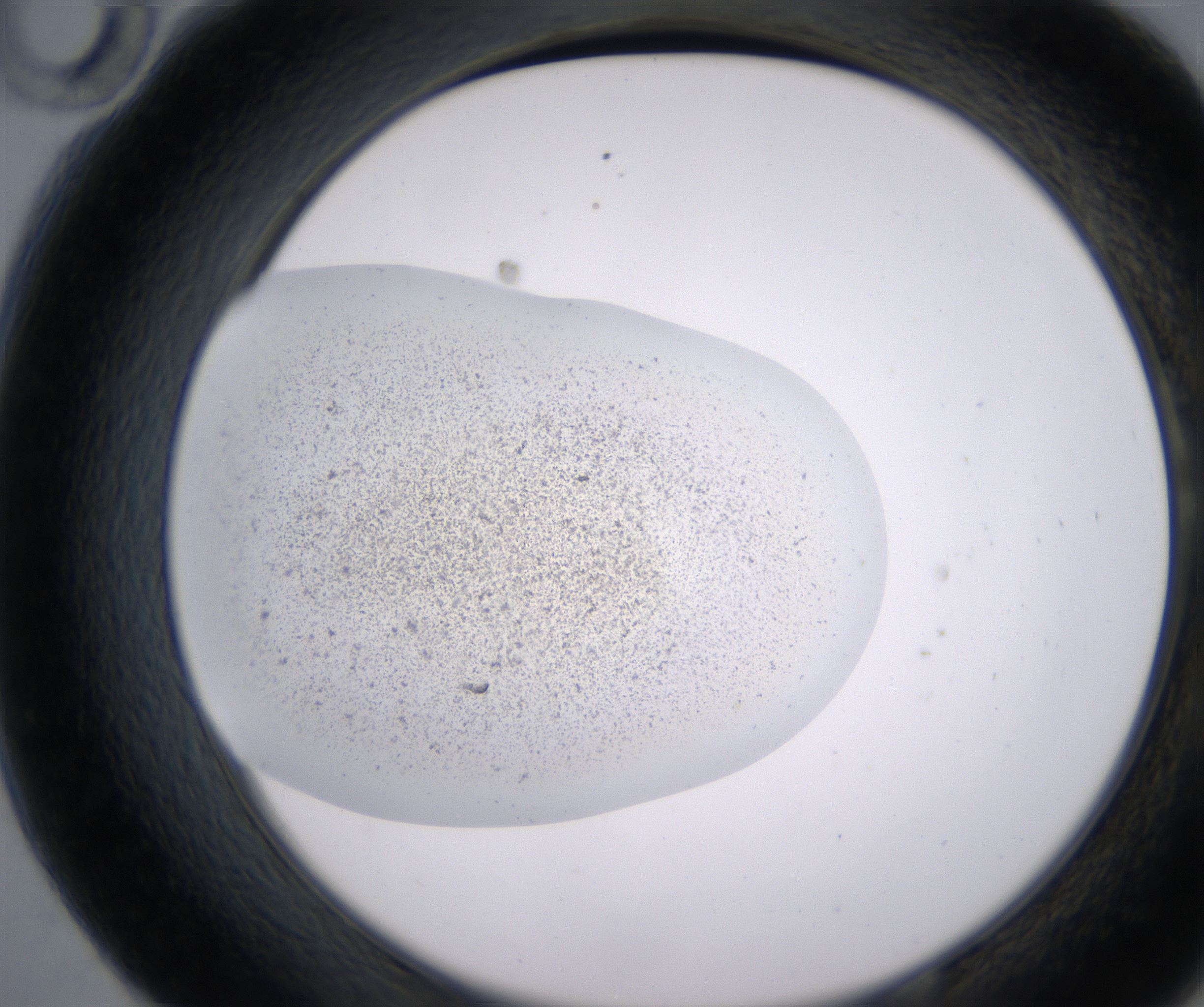 E10_HighResolution_Precipitate_2.jpg
