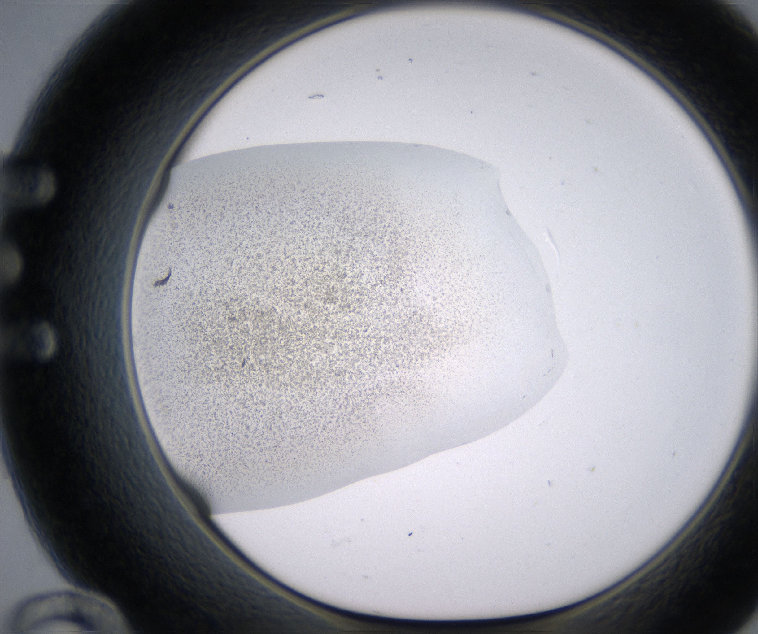 E12_HighResolution_Precipitate_1.jpg