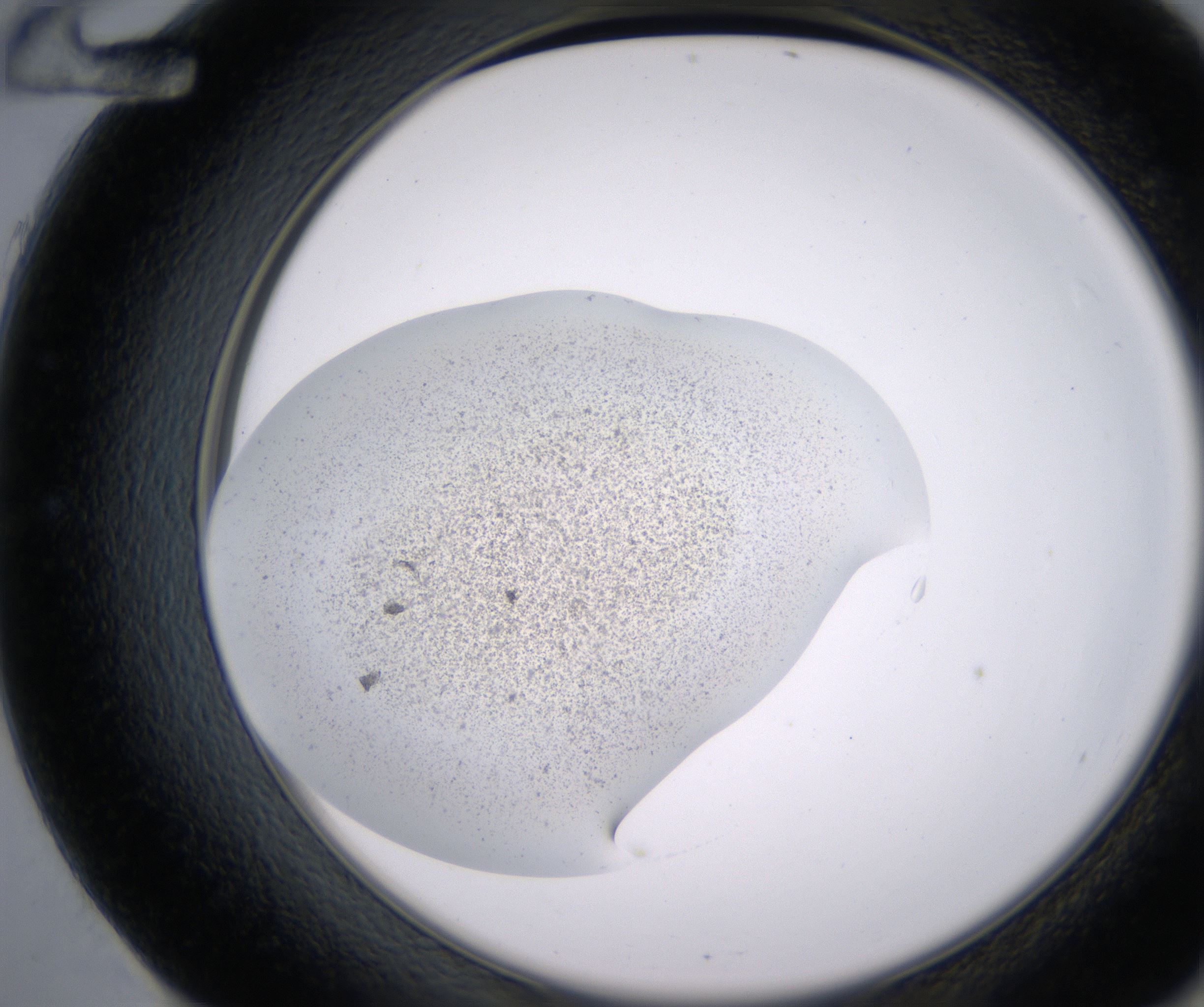 E12_HighResolution_Precipitate_2.jpg