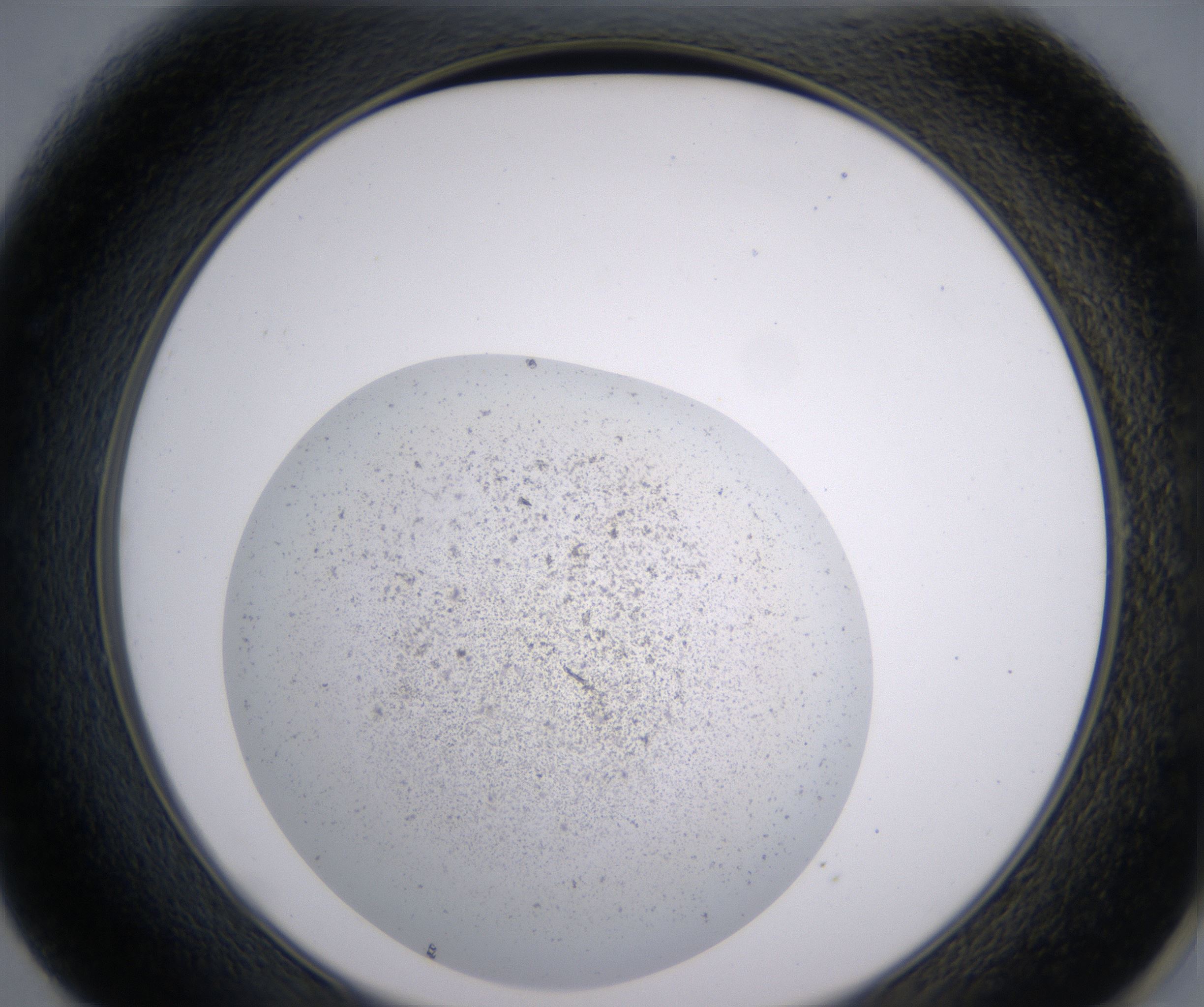 E1_HighResolution_Precipitate_2.jpg