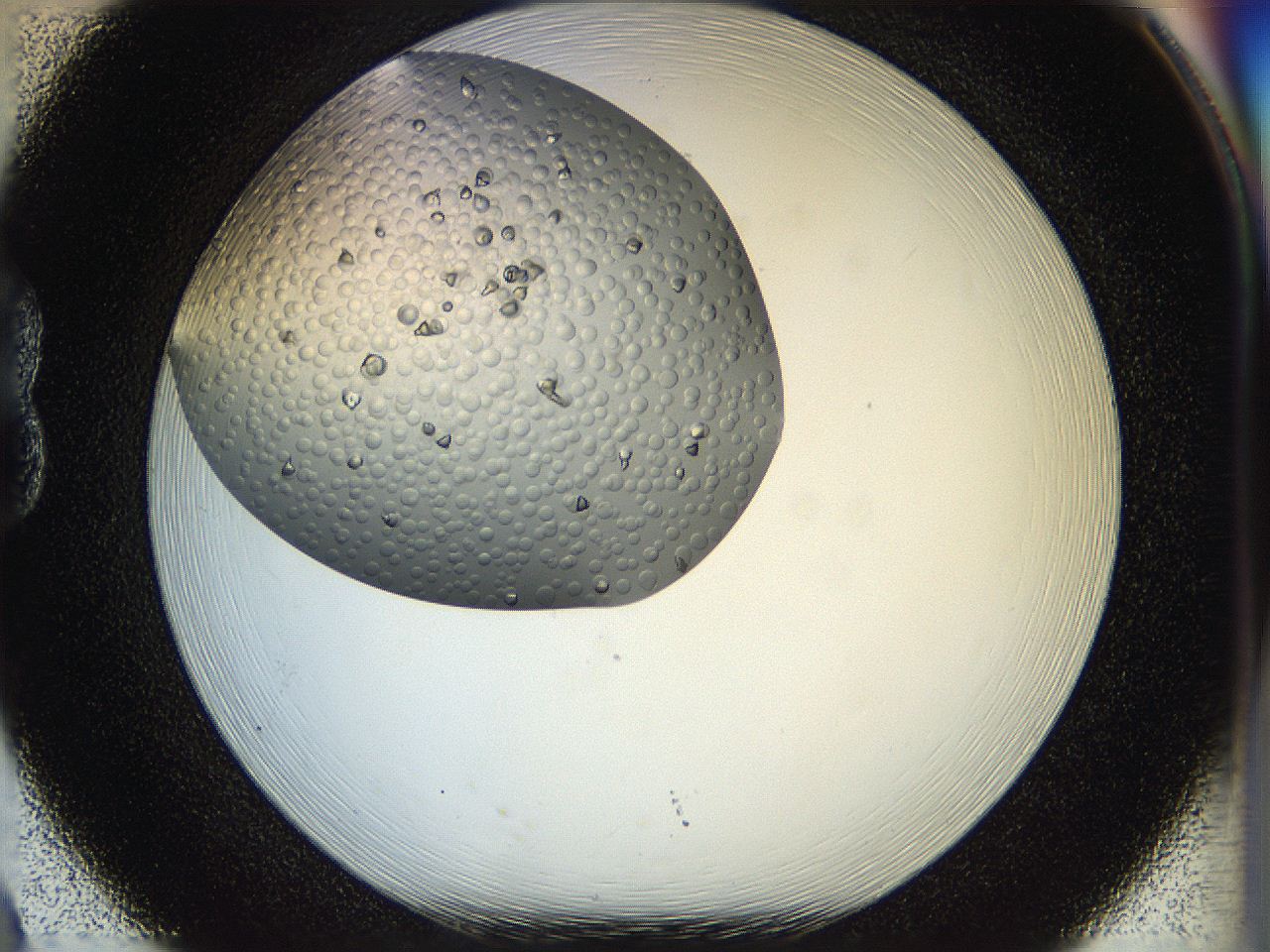 05jp_B8_ImagerDefaults_8.jpg