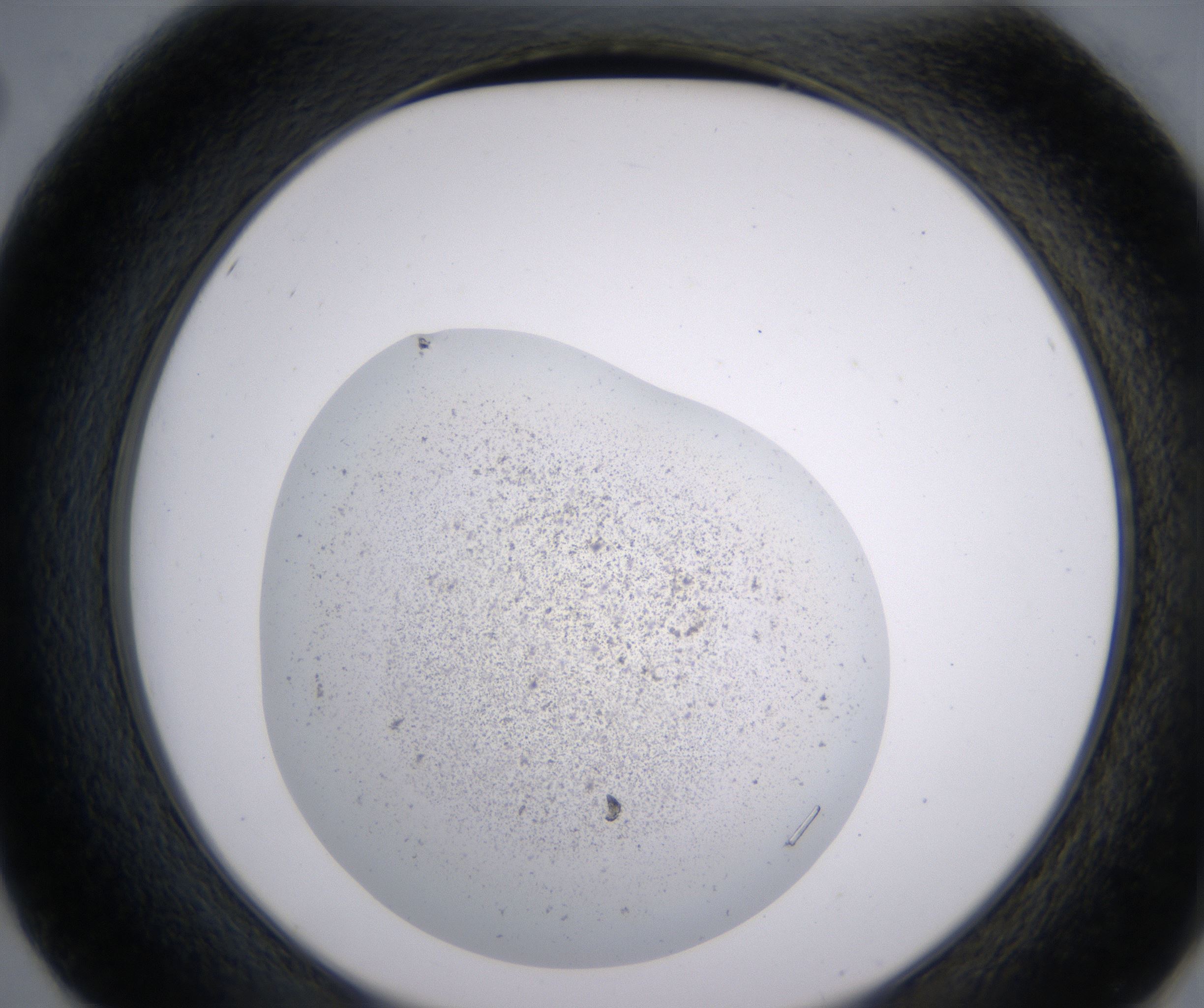 E2_HighResolution_Precipitate_2.jpg