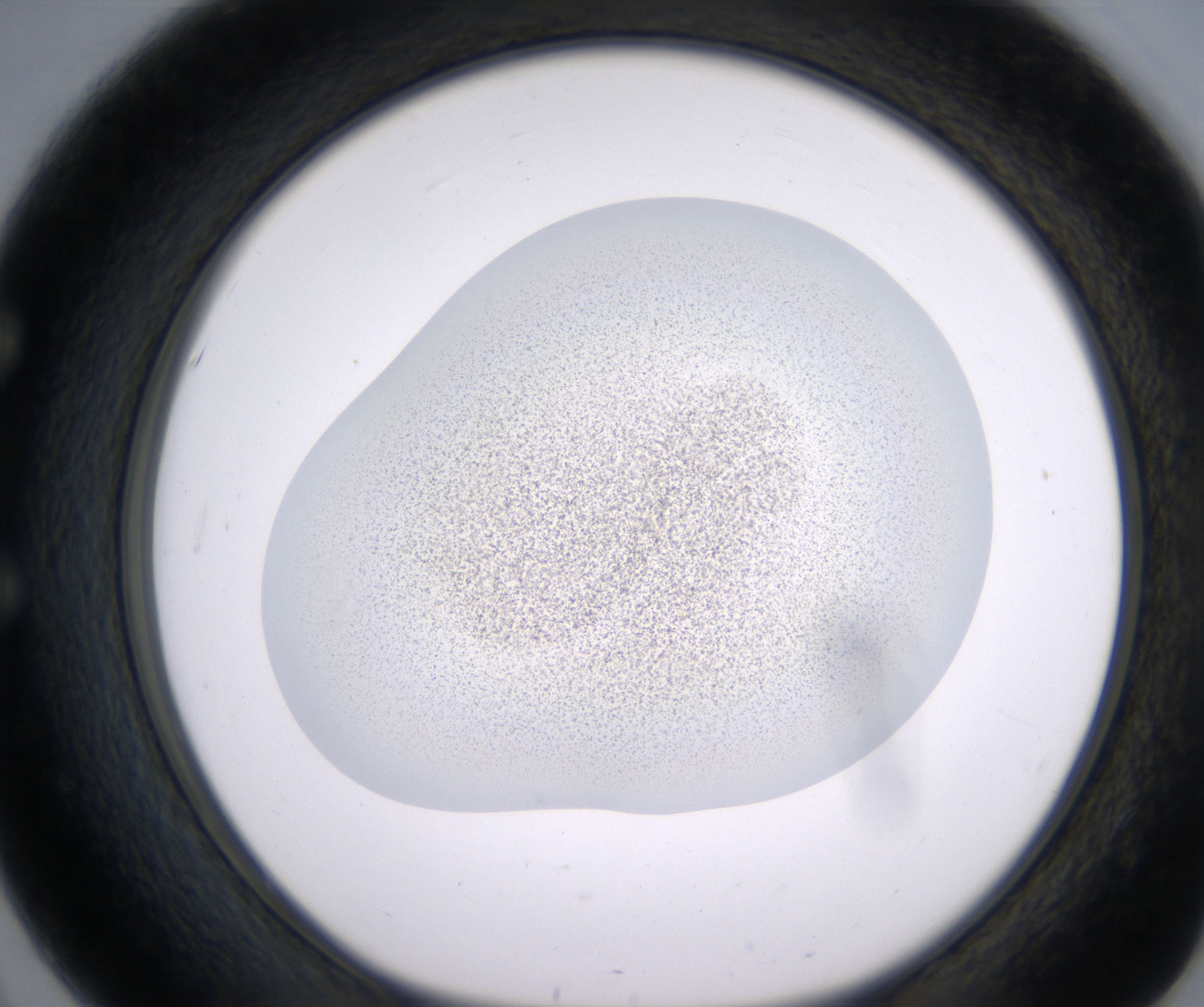 E3_HighResolution_Precipitate_1.jpg