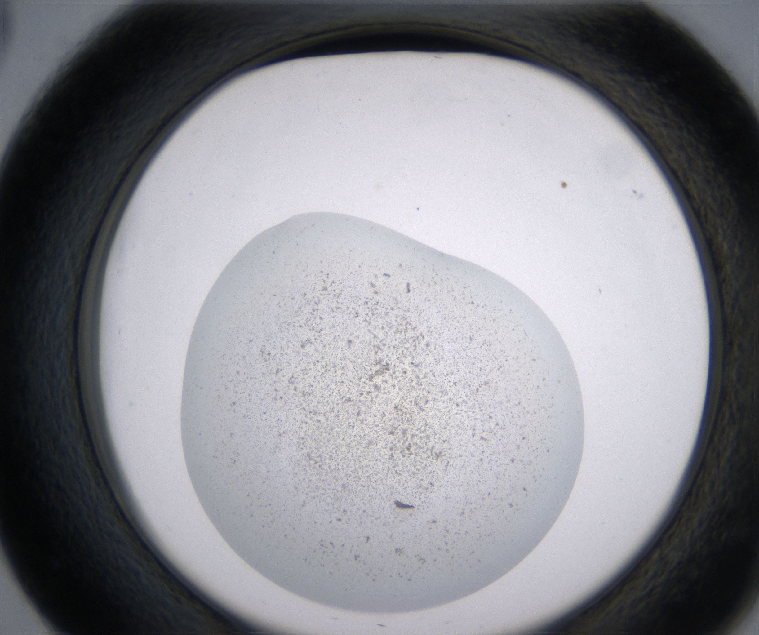 E3_HighResolution_Precipitate_2.jpg
