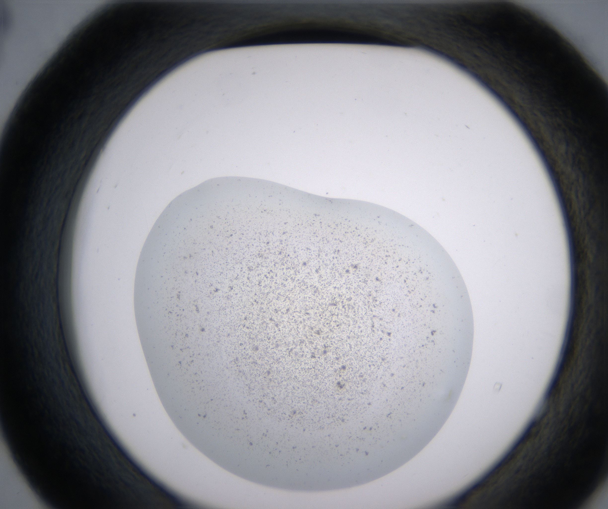 E4_HighResolution_Precipitate_2.jpg
