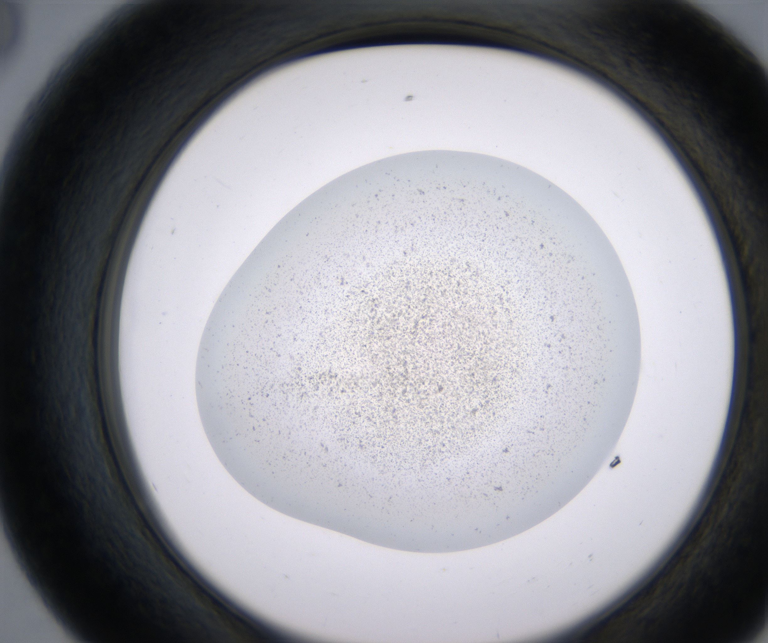 E8_HighResolution_Precipitate_2.jpg