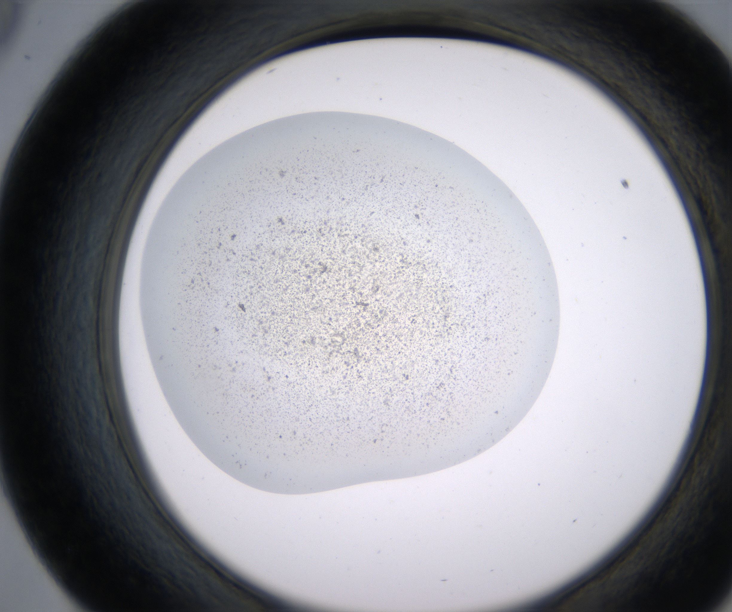 E9_HighResolution_Precipitate_2.jpg