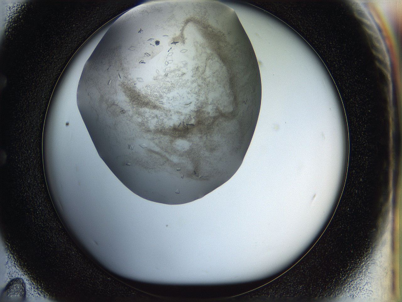 05jp_E11_ImagerDefaults_8.jpg