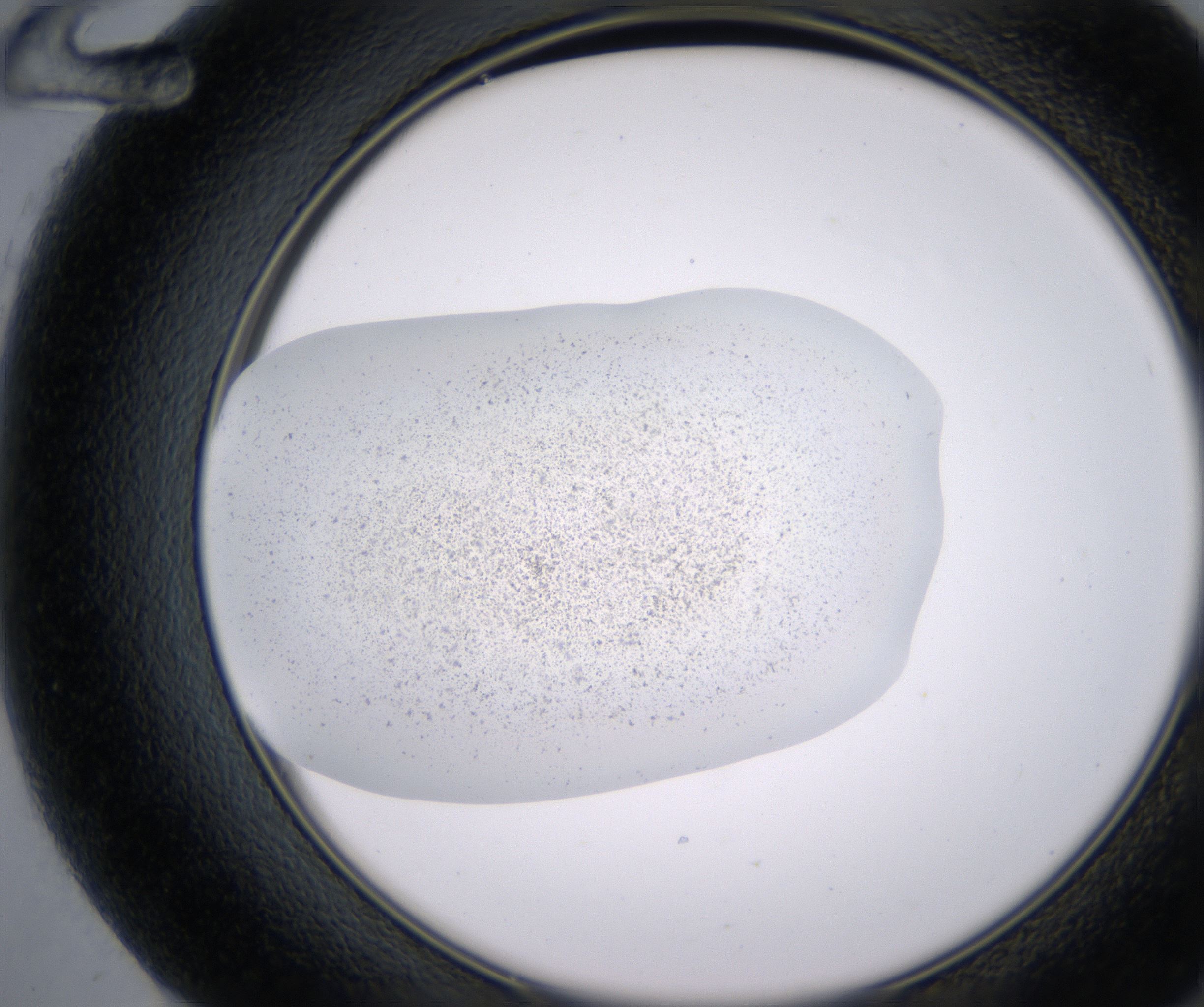 F12_HighResolution_Precipitate_2.jpg