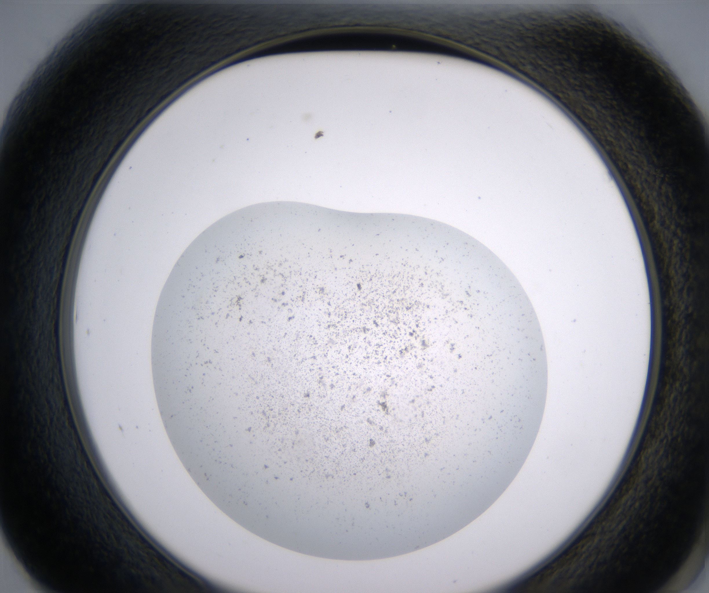F1_HighResolution_Precipitate_2.jpg