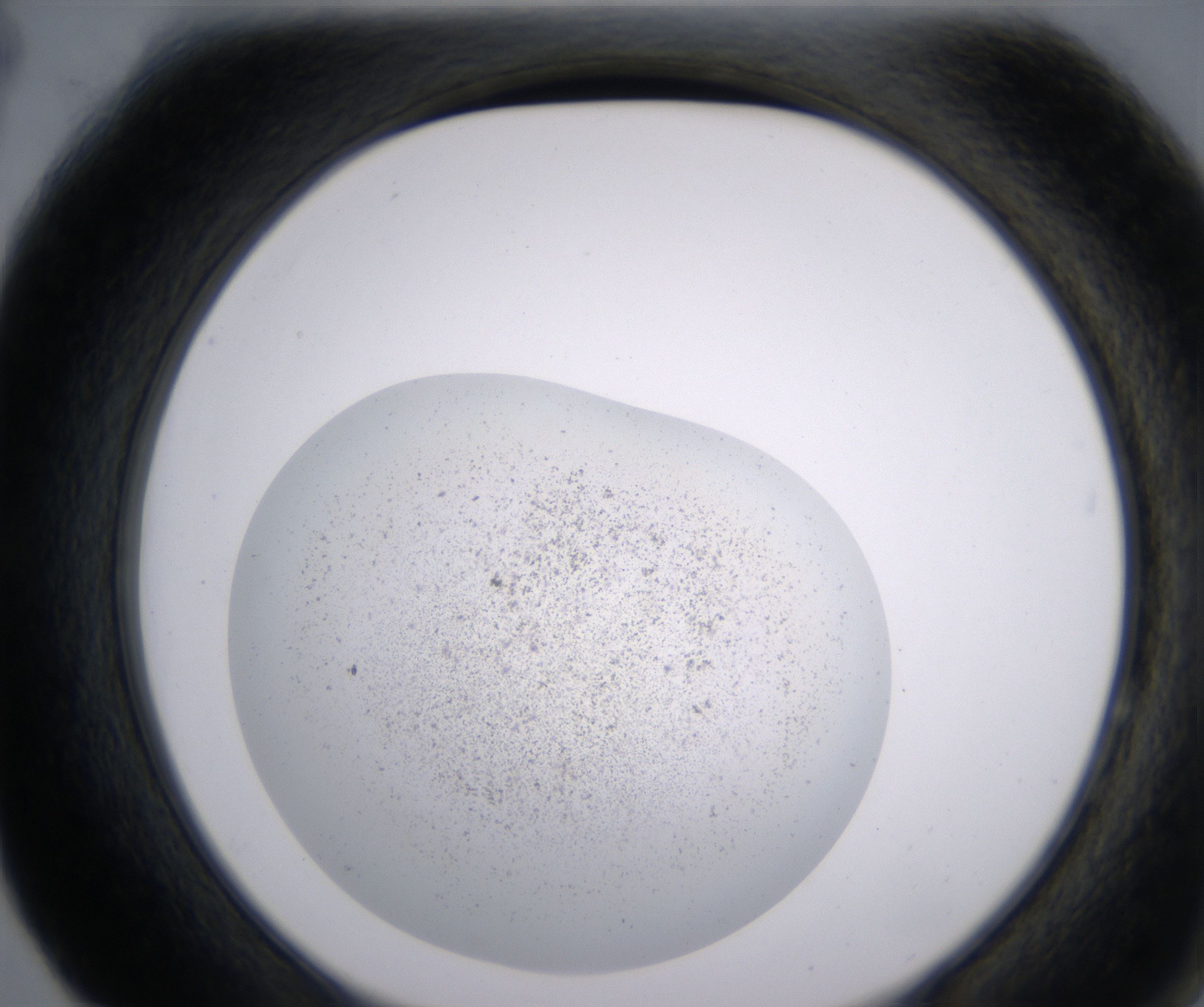F4_HighResolution_Precipitate_2.jpg