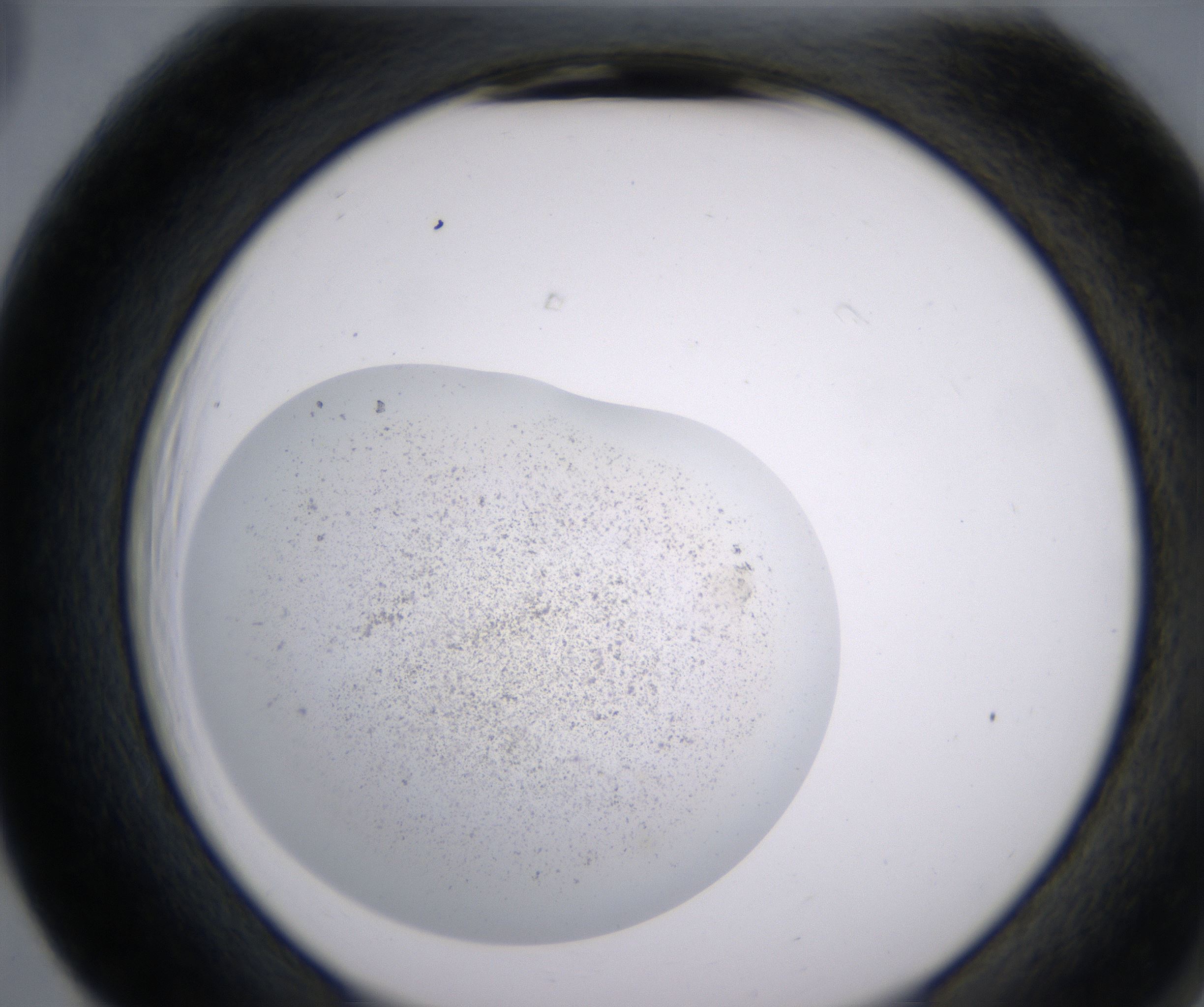 F5_HighResolution_Precipitate_2.jpg