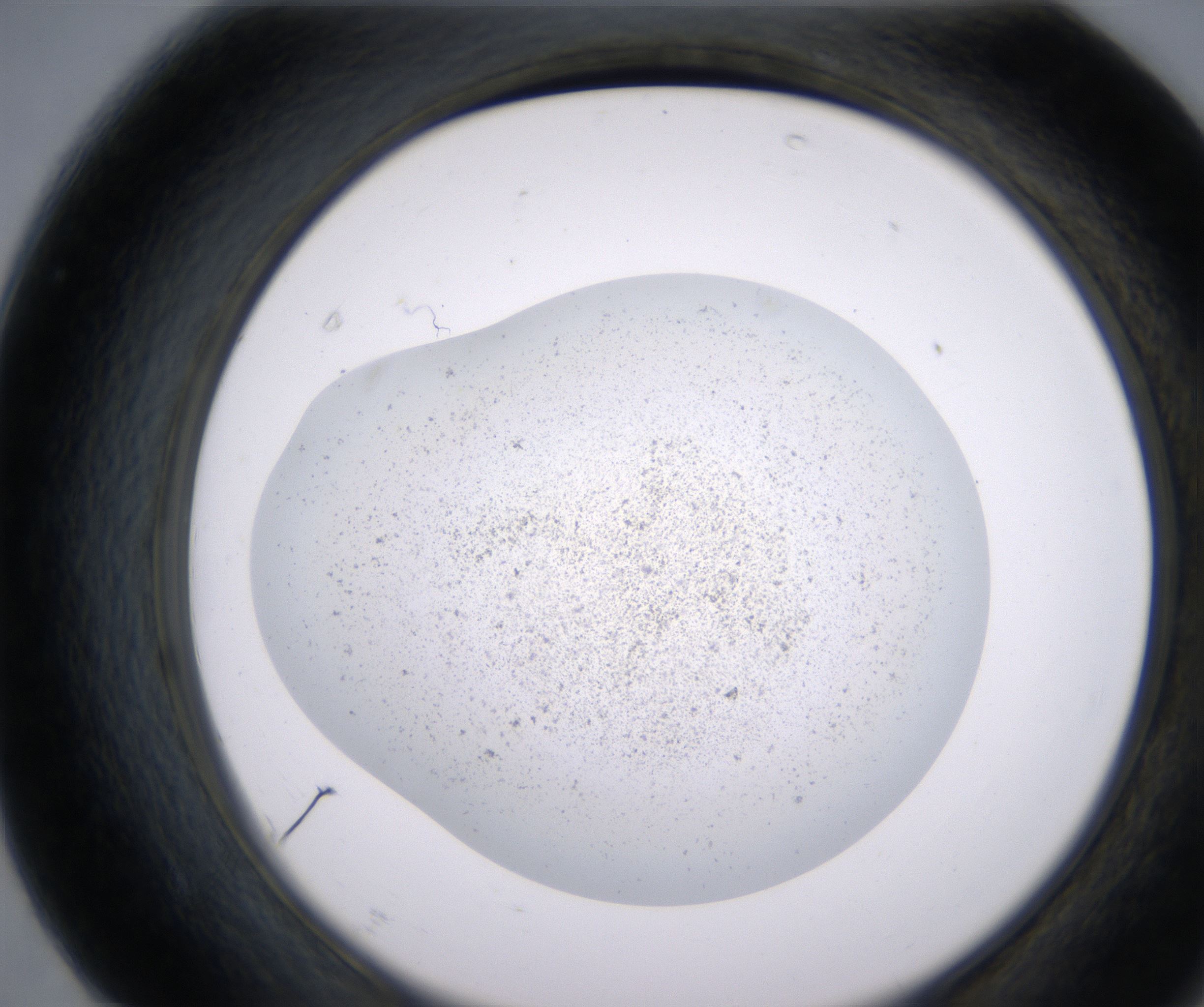 F7_HighResolution_Precipitate_2.jpg