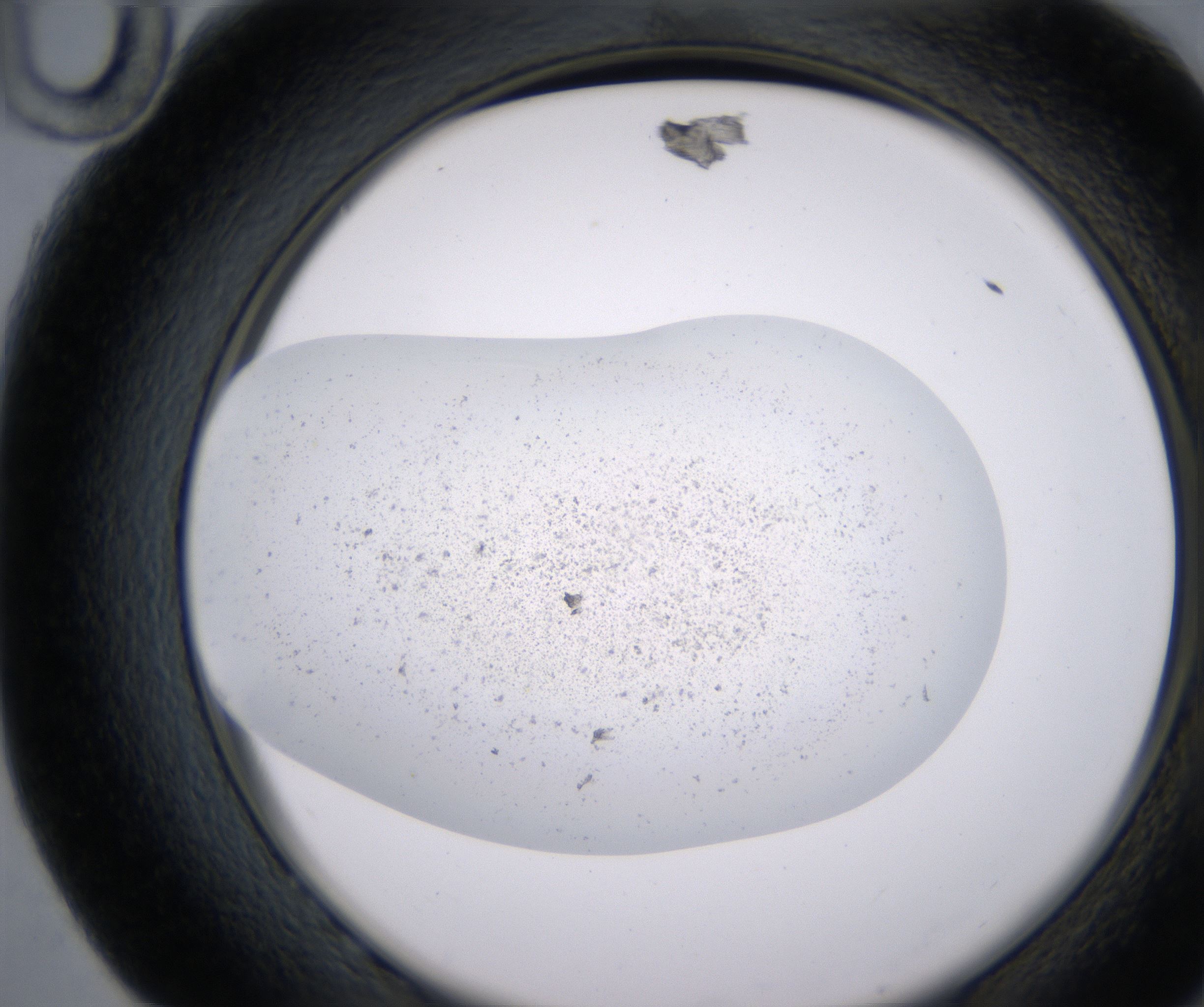 G10_HighResolution_Precipitate_2.jpg