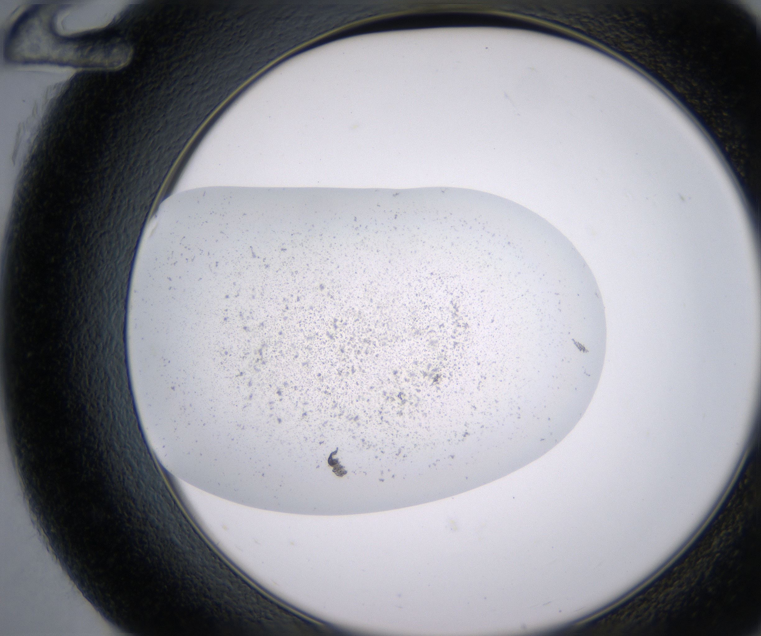 G12_HighResolution_Precipitate_2.jpg