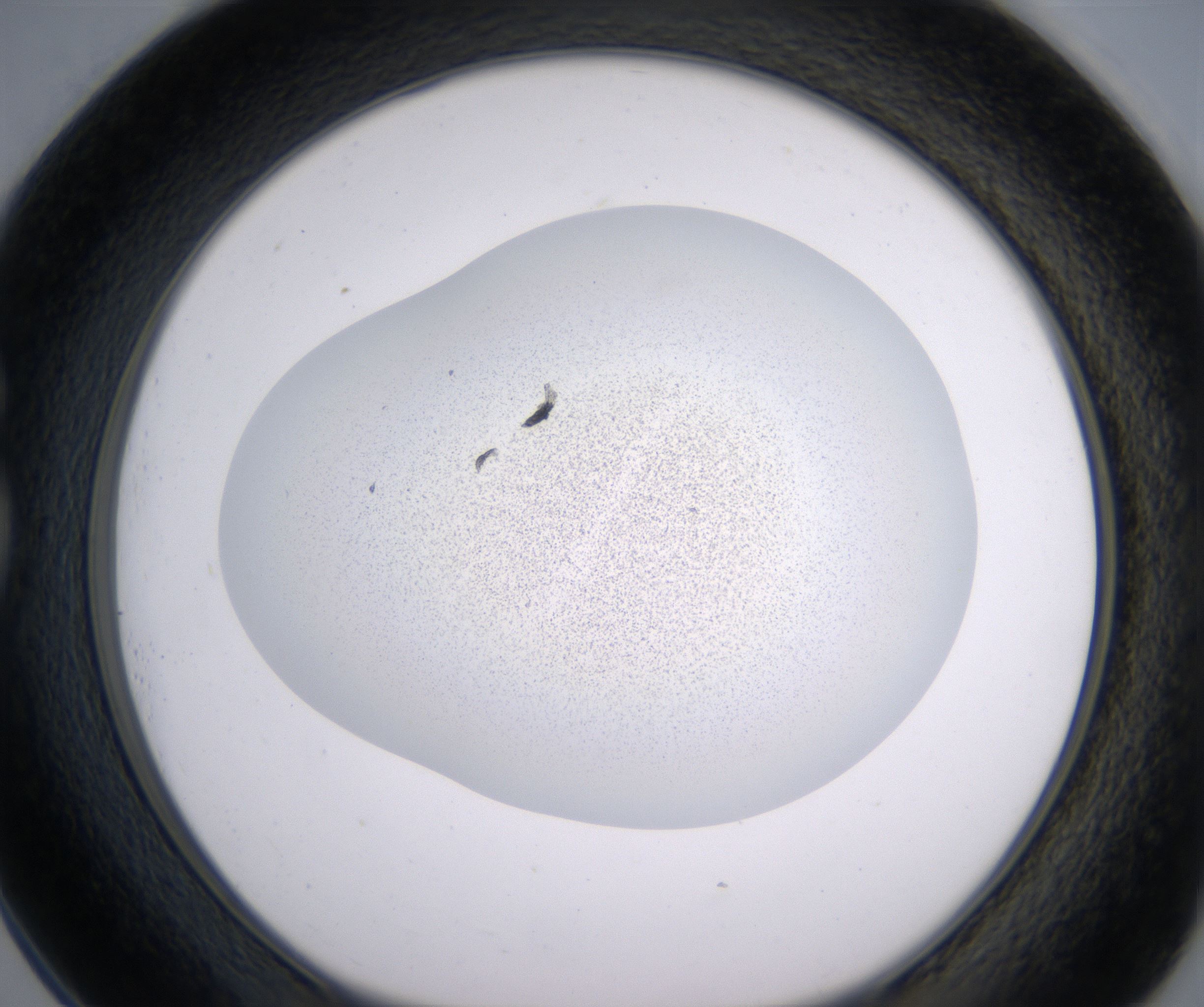 G1_HighResolution_Precipitate_1.jpg