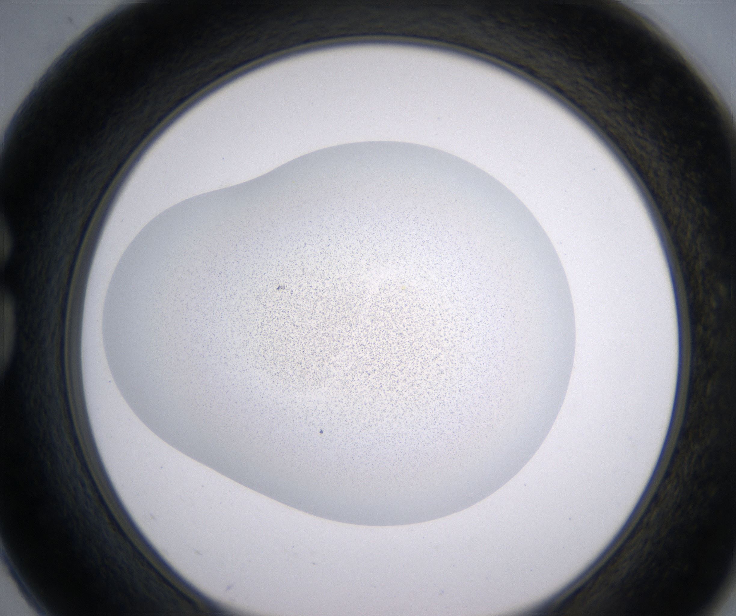 G2_HighResolution_Precipitate_1.jpg