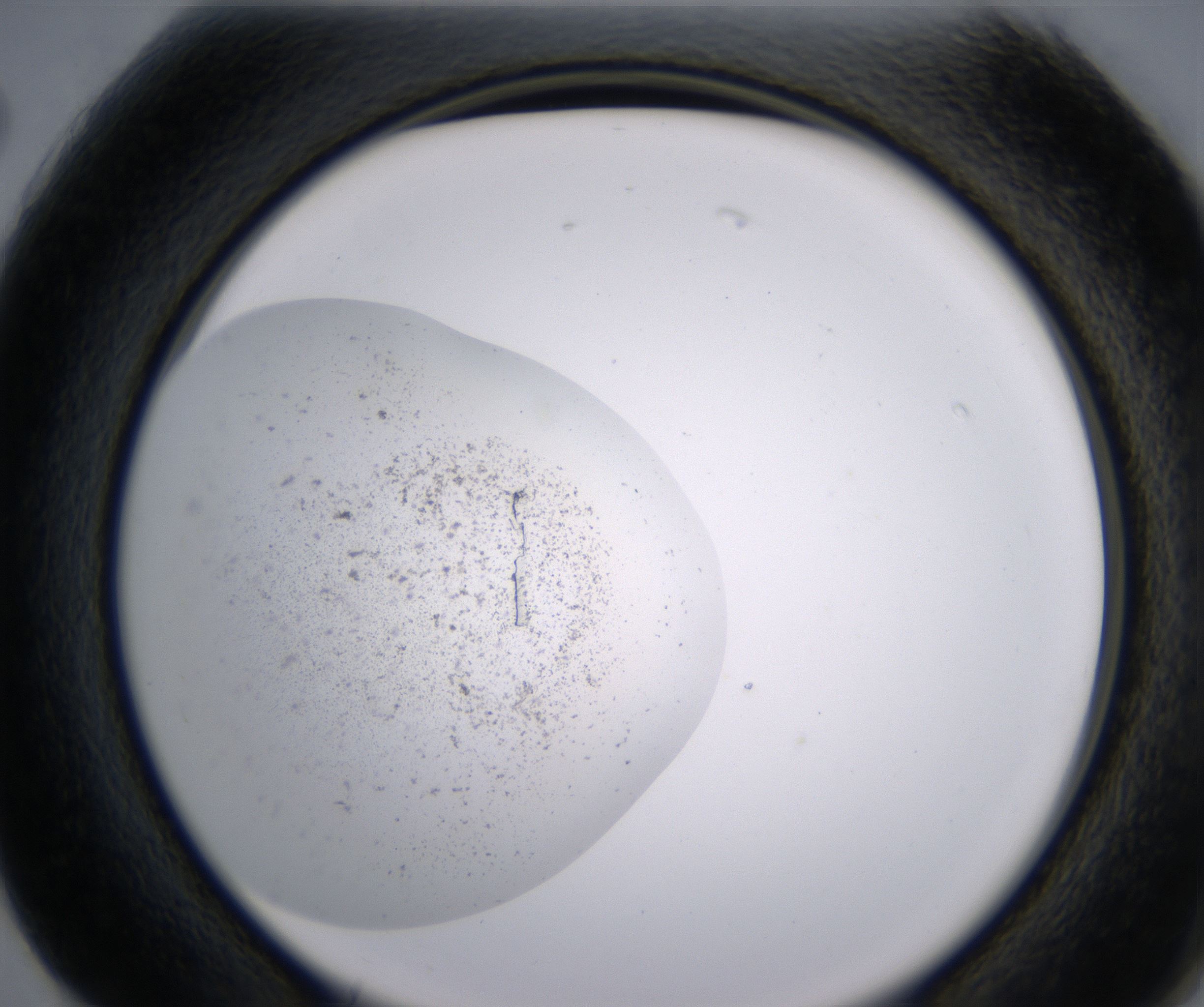 G2_HighResolution_Precipitate_2.jpg