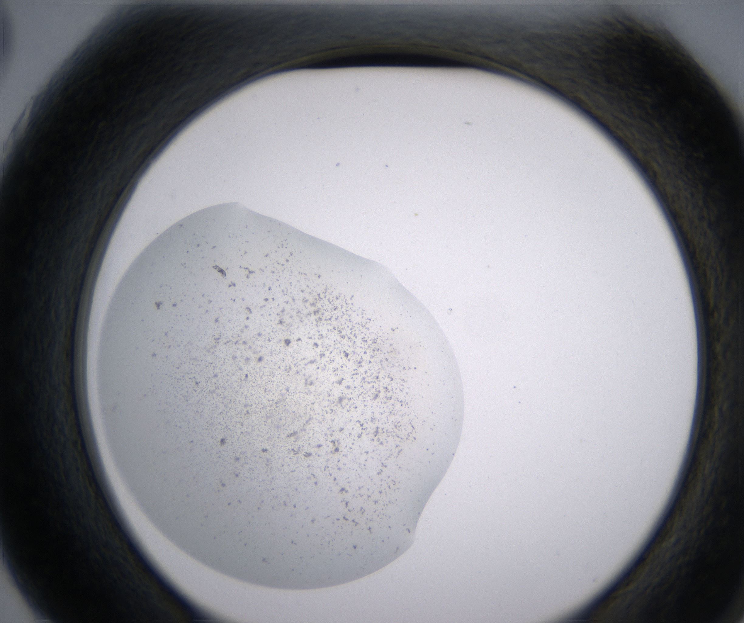 G3_HighResolution_Precipitate_2.jpg