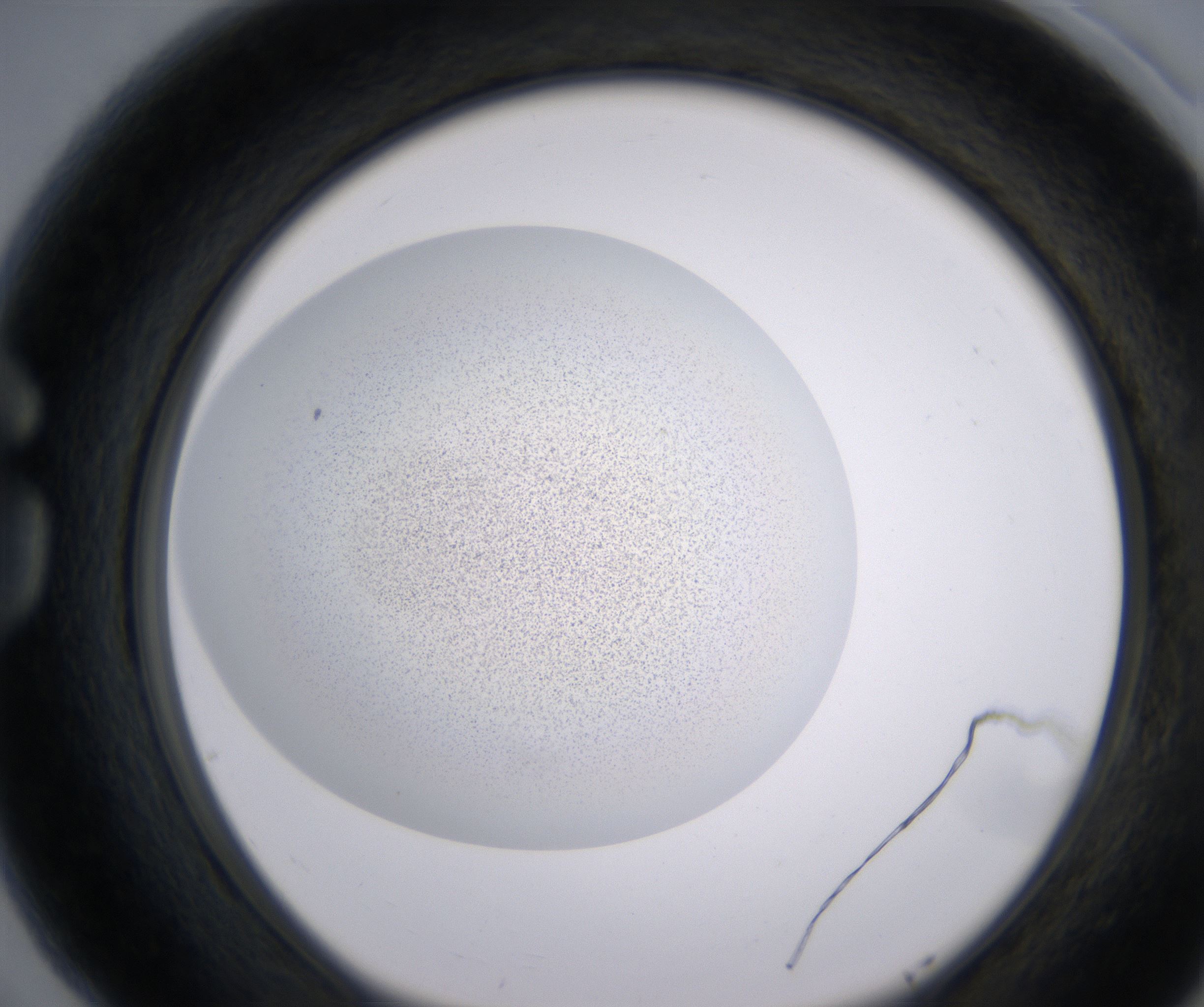 G5_HighResolution_Precipitate_1.jpg