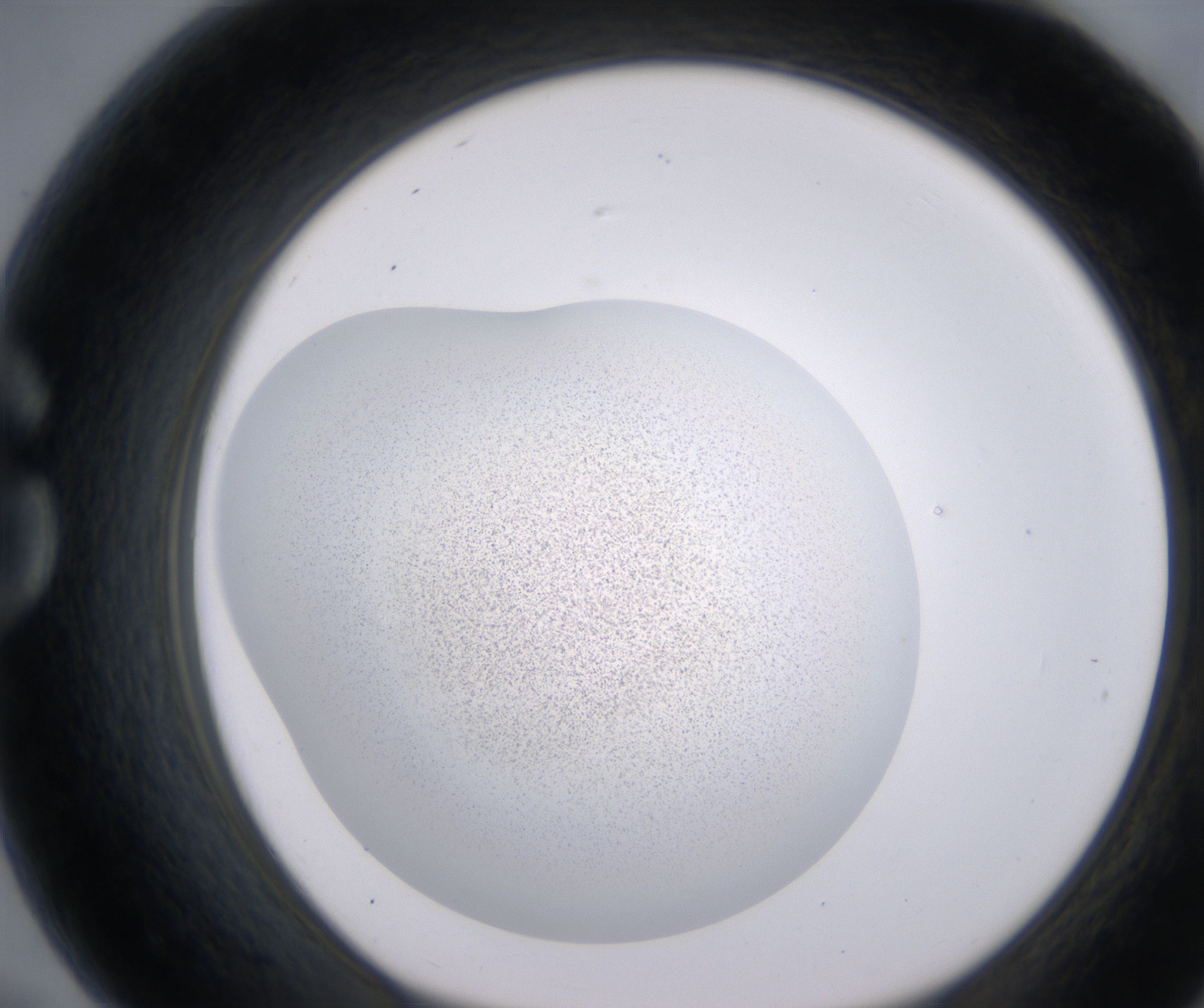 G7_HighResolution_Precipitate_1.jpg