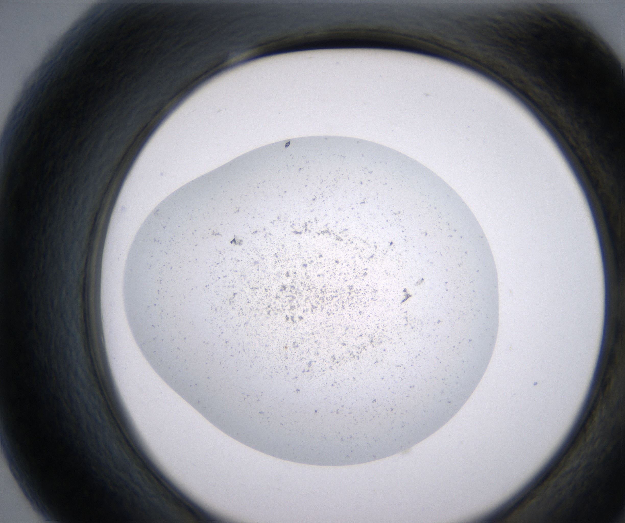 G7_HighResolution_Precipitate_2.jpg
