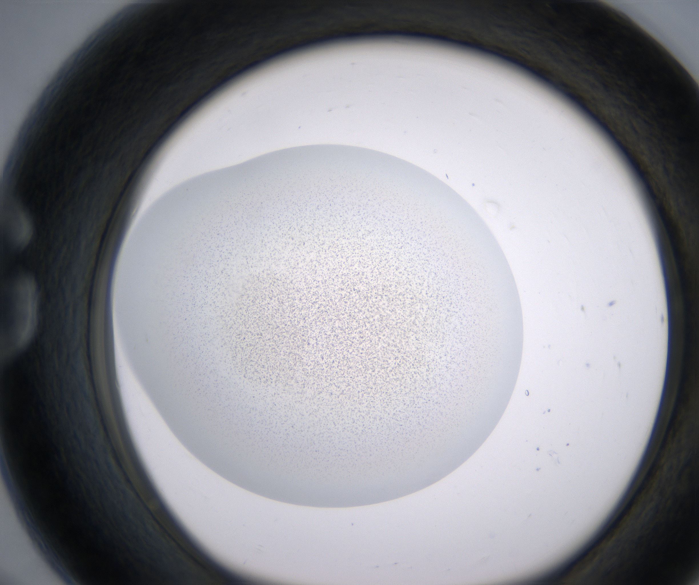 G8_HighResolution_Precipitate_1.jpg