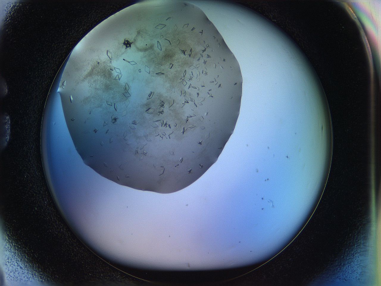 05jp_G8_ImagerDefaults_8.jpg