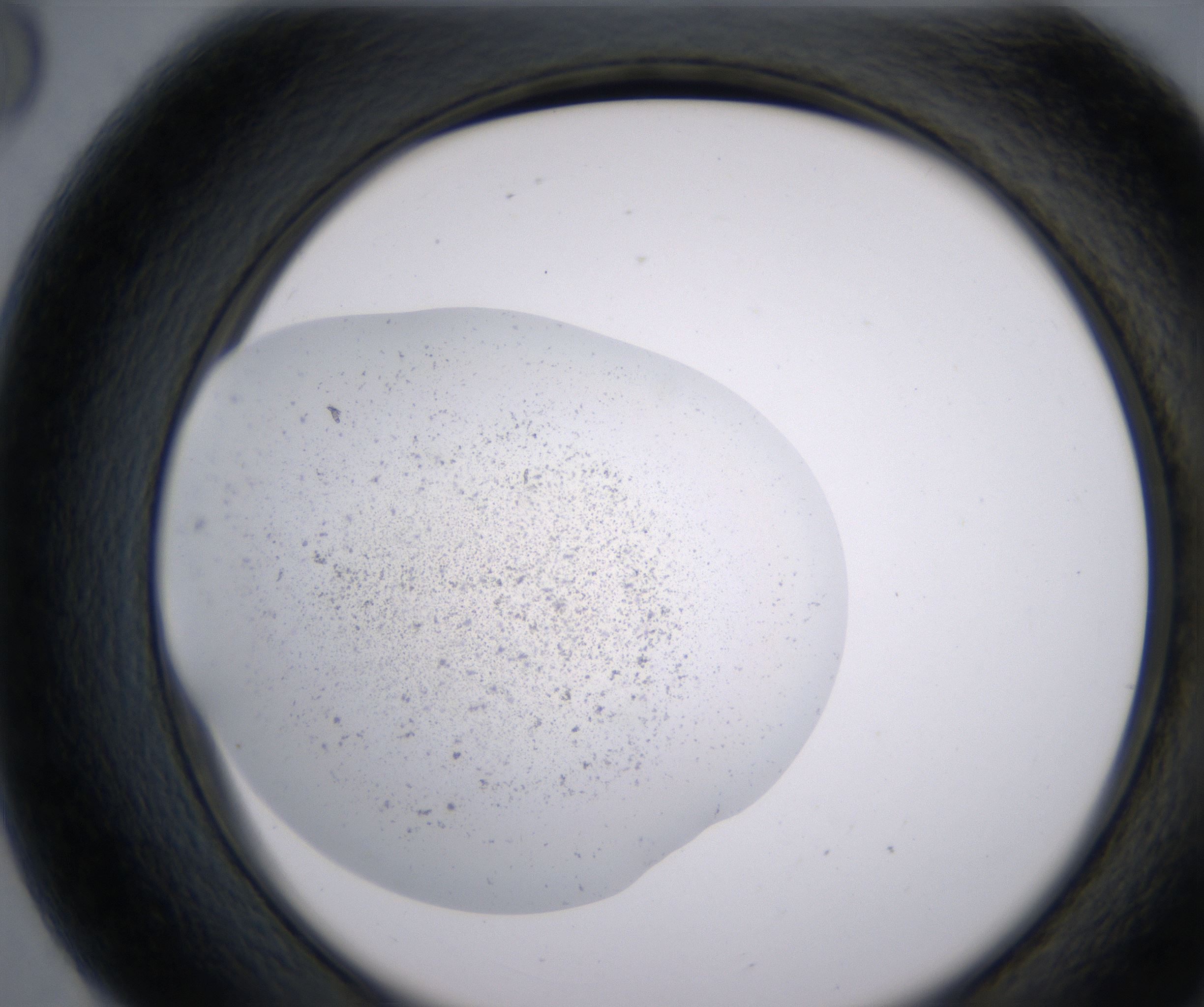 G8_HighResolution_Precipitate_2.jpg