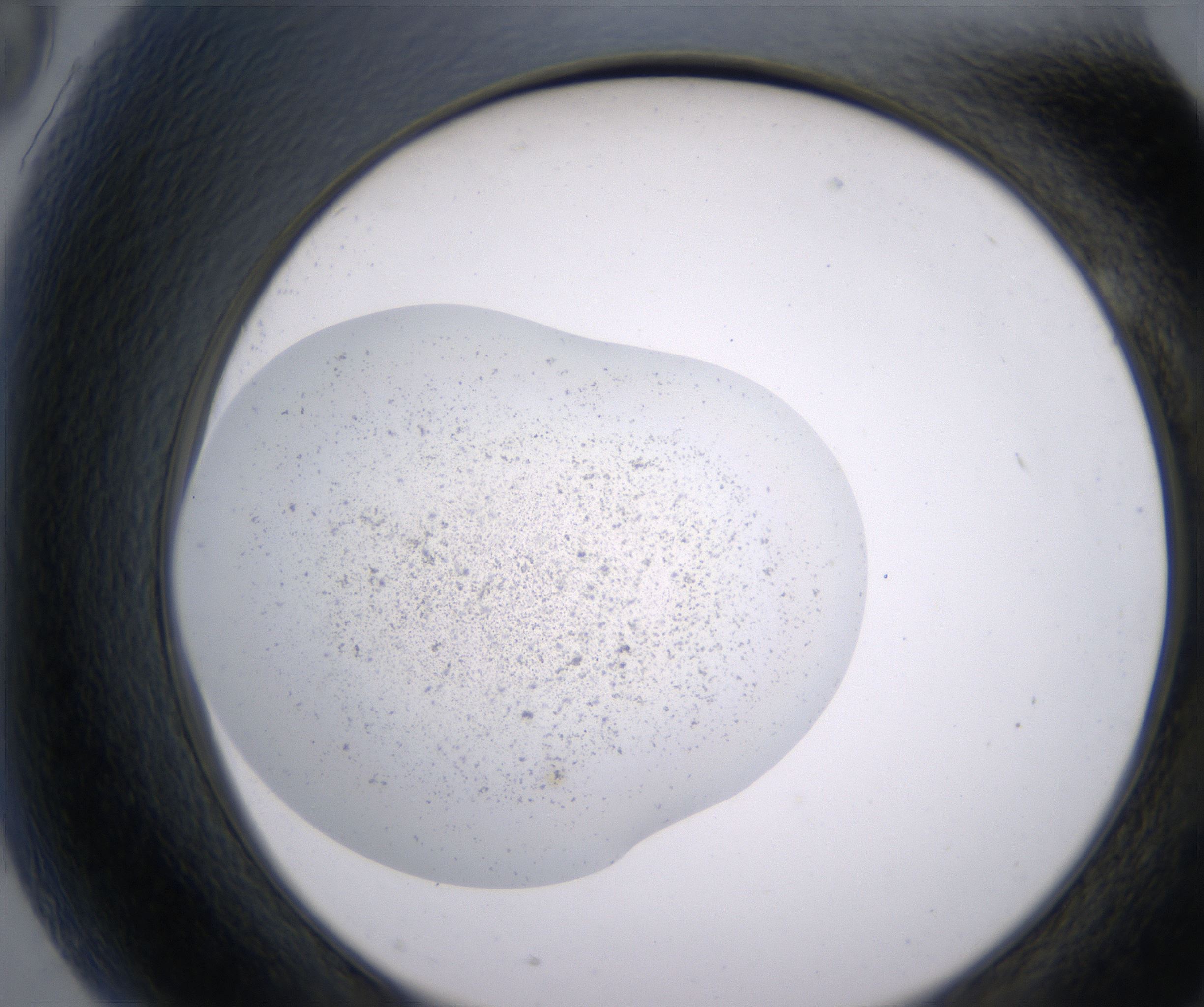 G9_HighResolution_Precipitate_2.jpg