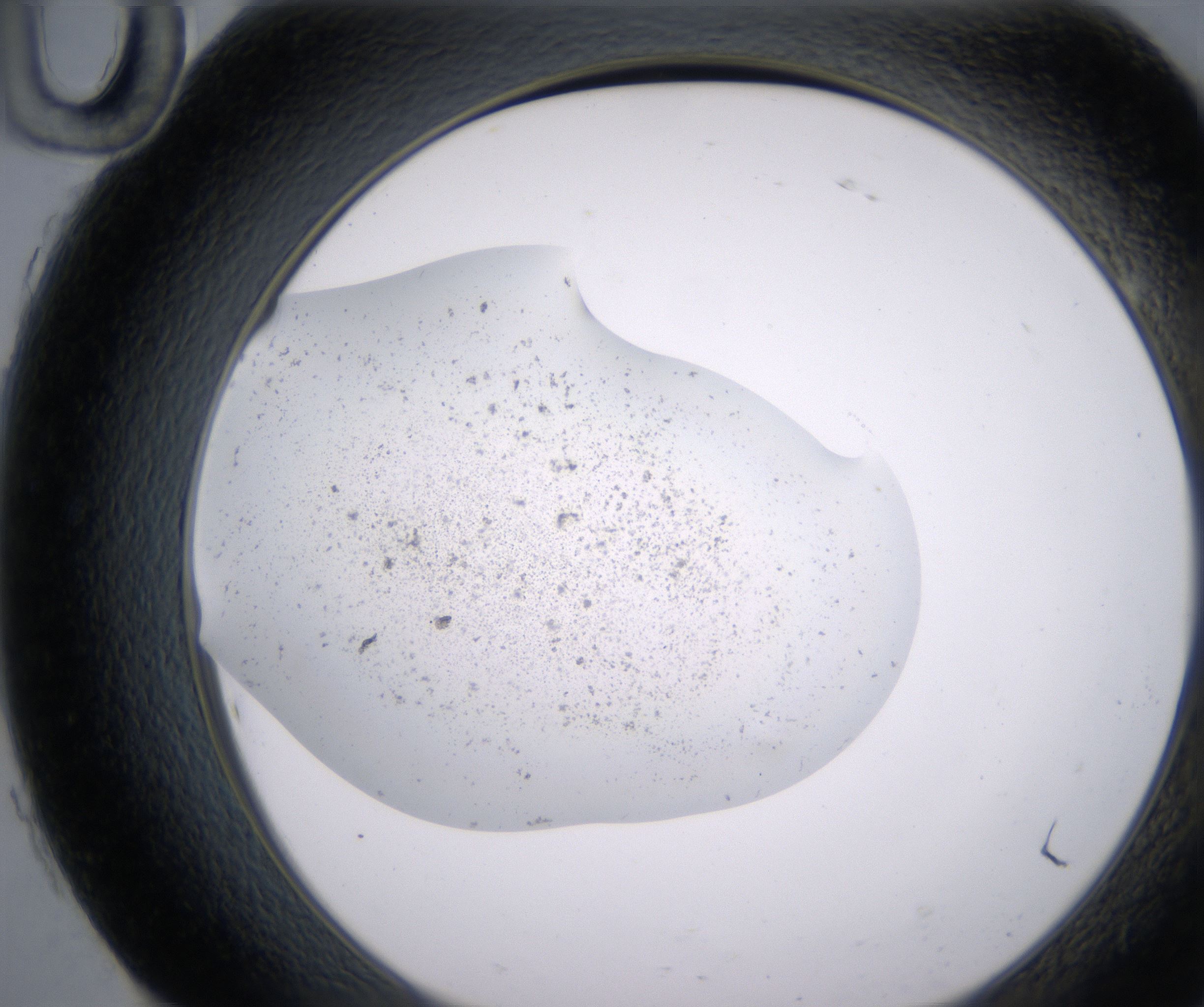 H10_HighResolution_Precipitate_2.jpg