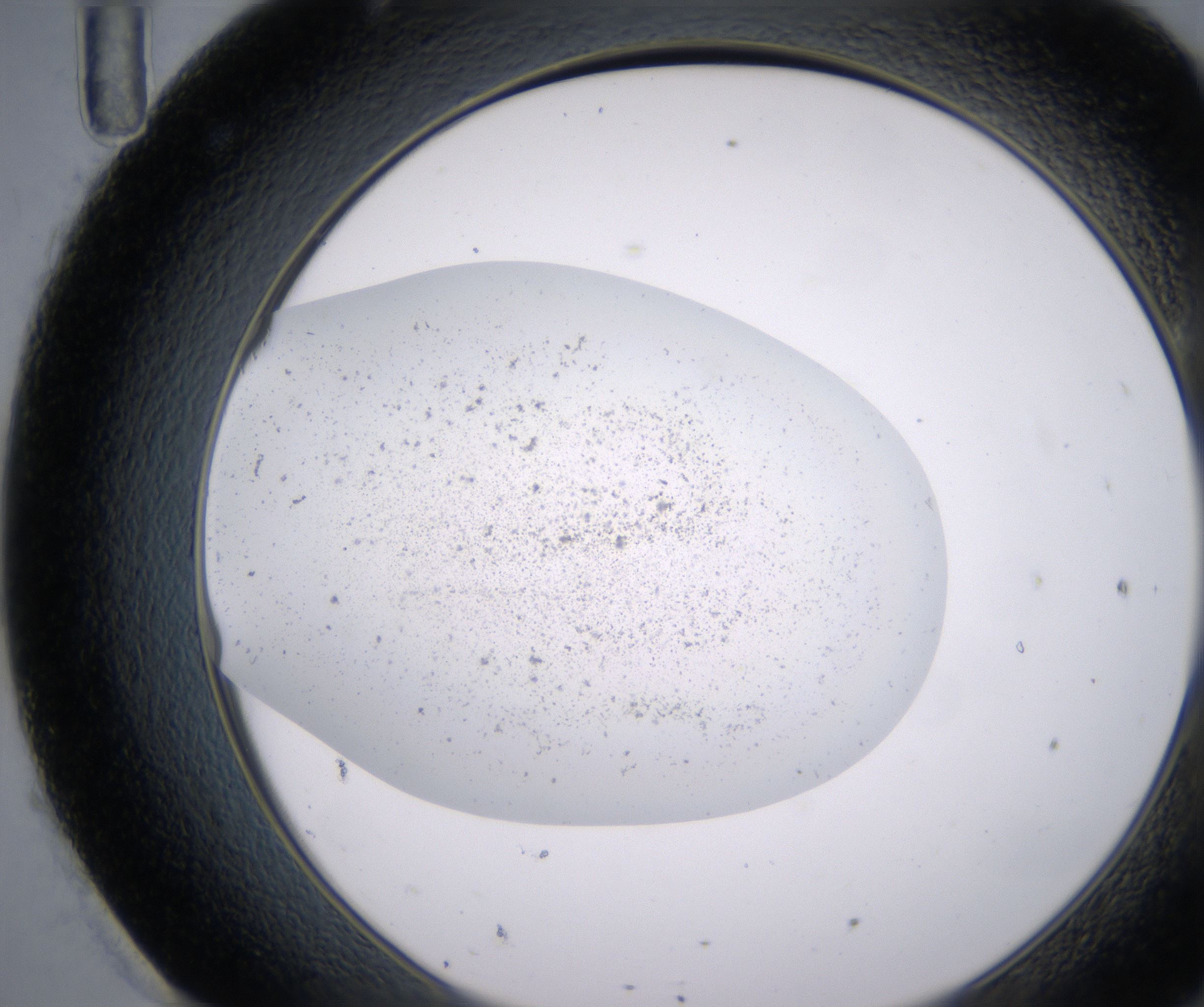 H11_HighResolution_Precipitate_2.jpg