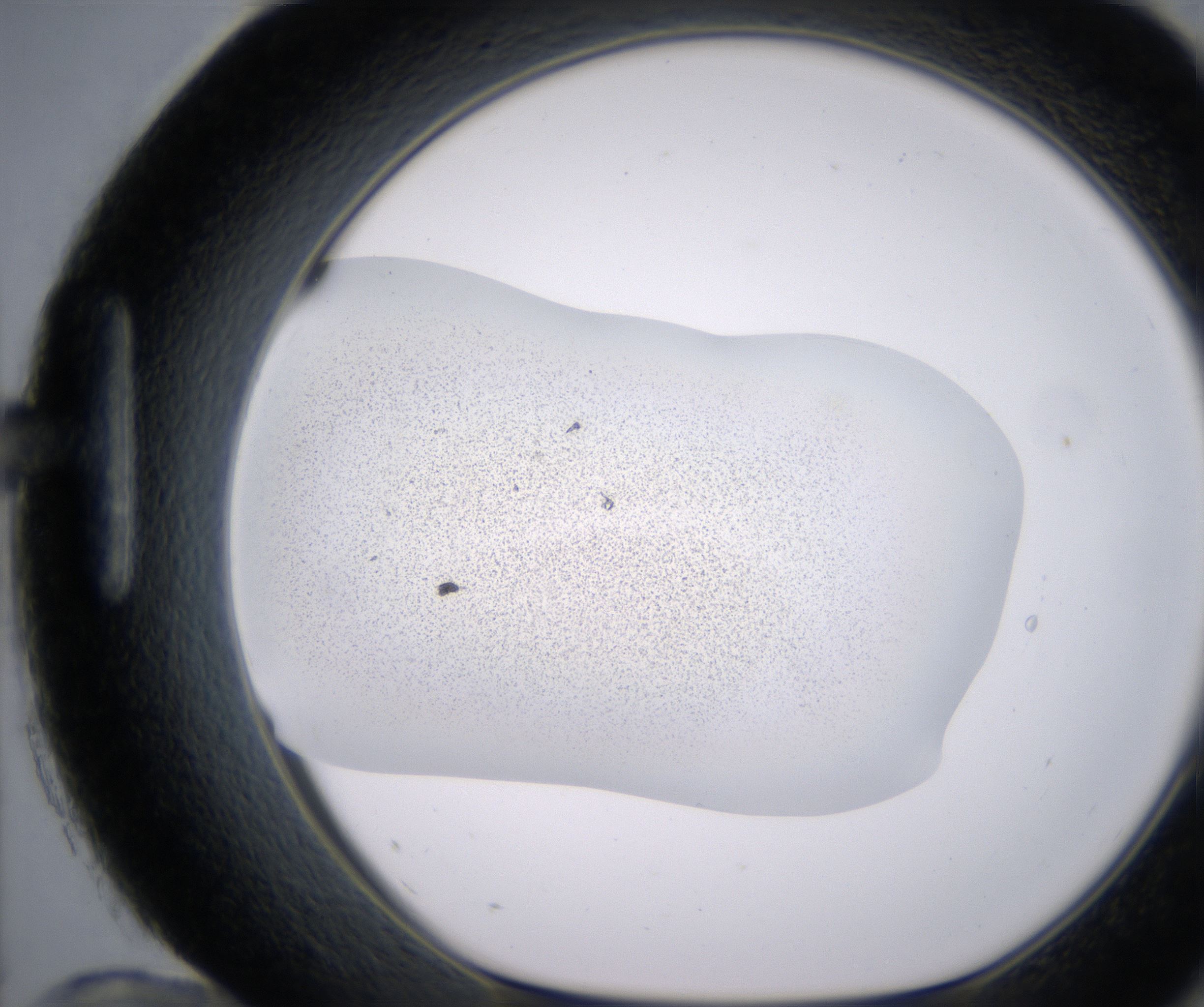 H12_HighResolution_Precipitate_1.jpg