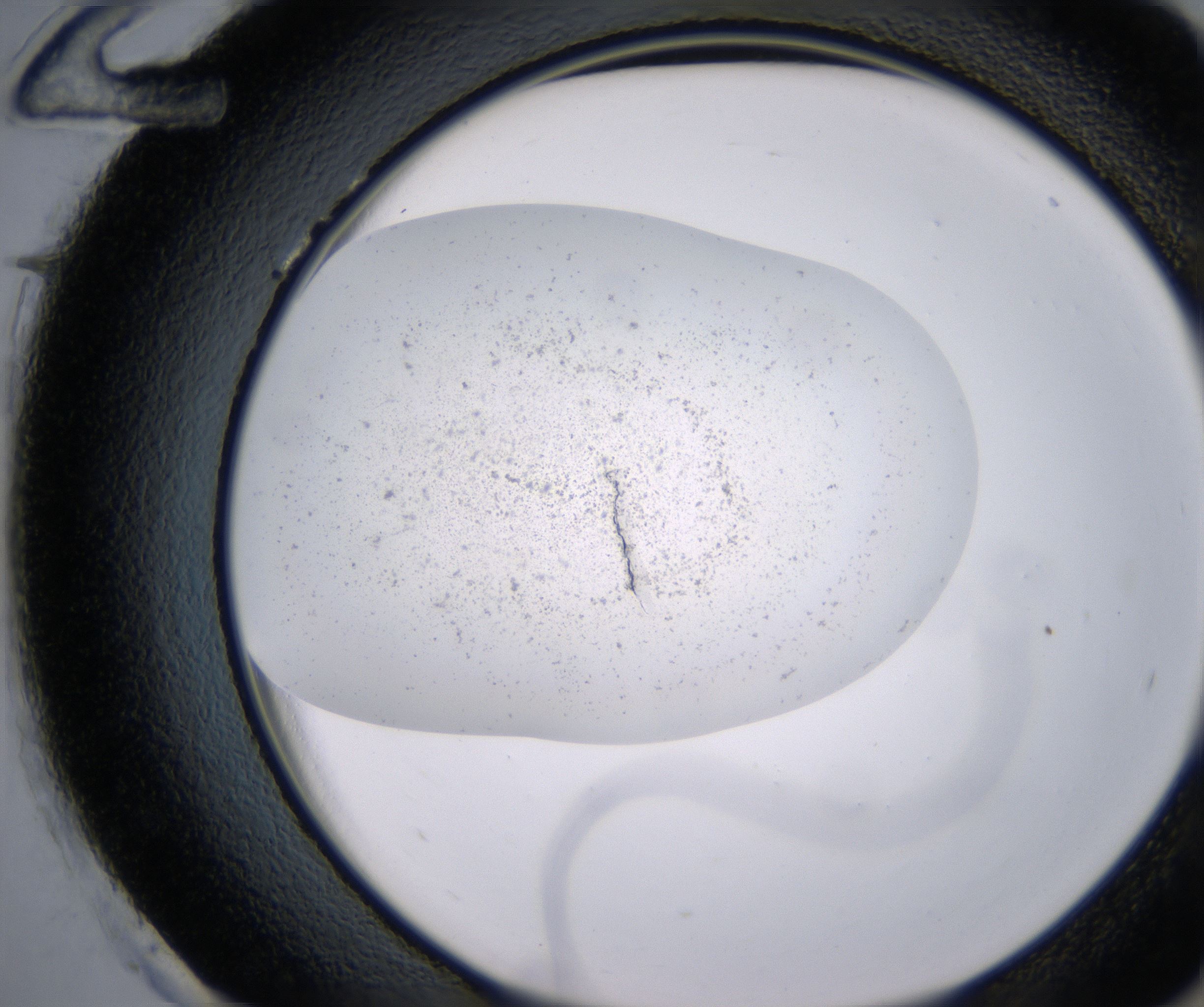 H12_HighResolution_Precipitate_2.jpg