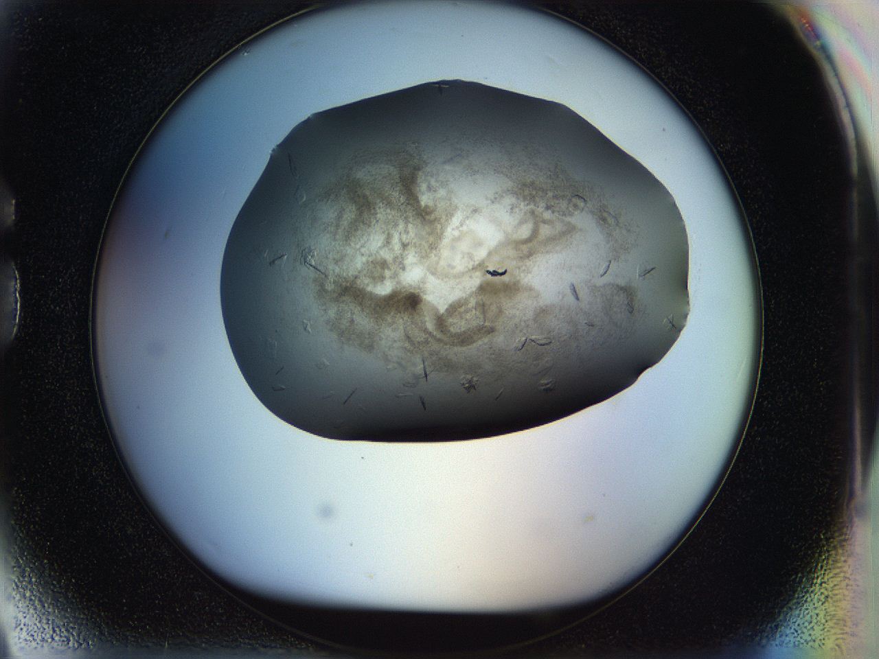 05jp_G9_ImagerDefaults_8.jpg