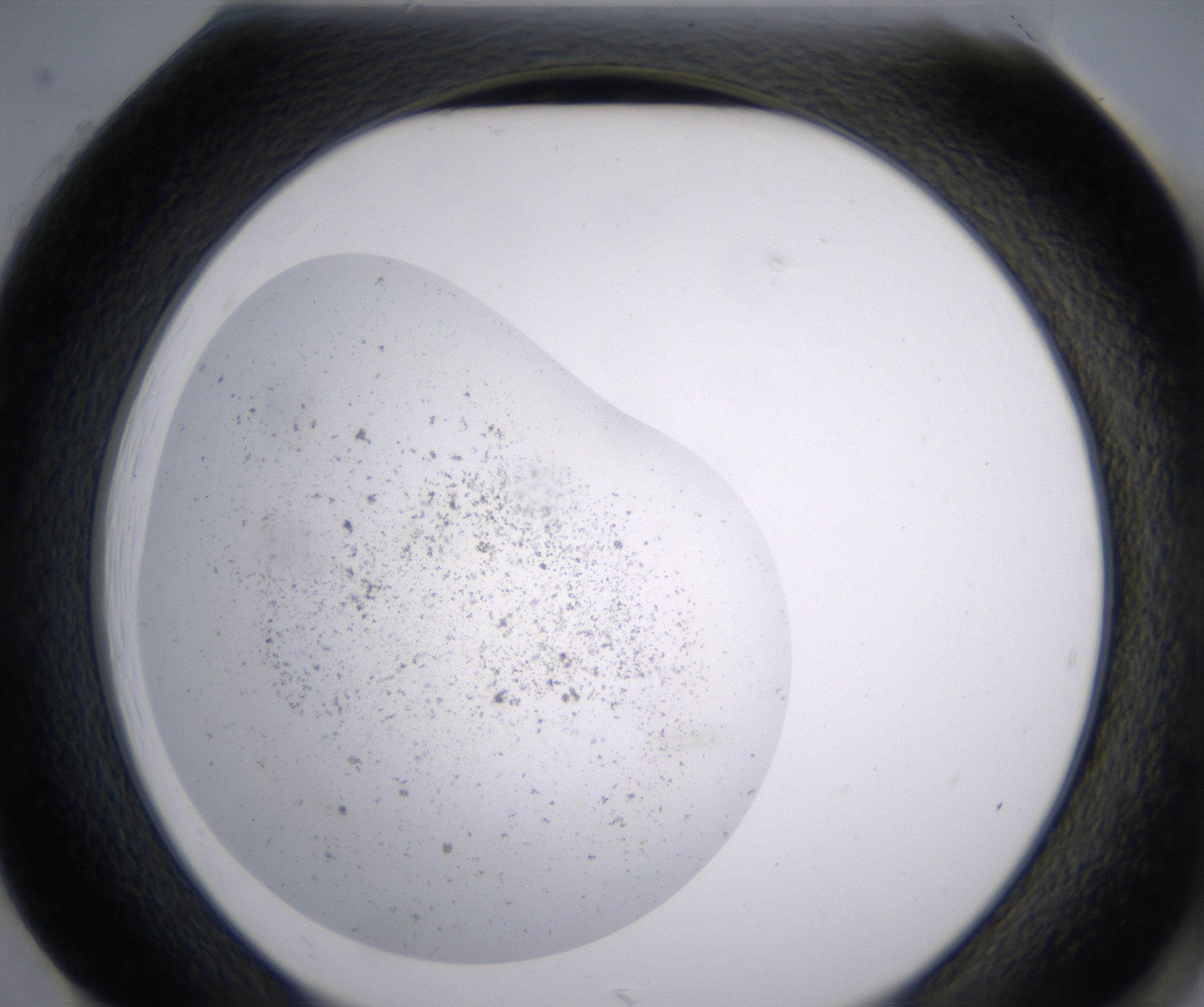H1_HighResolution_Precipitate_2.jpg
