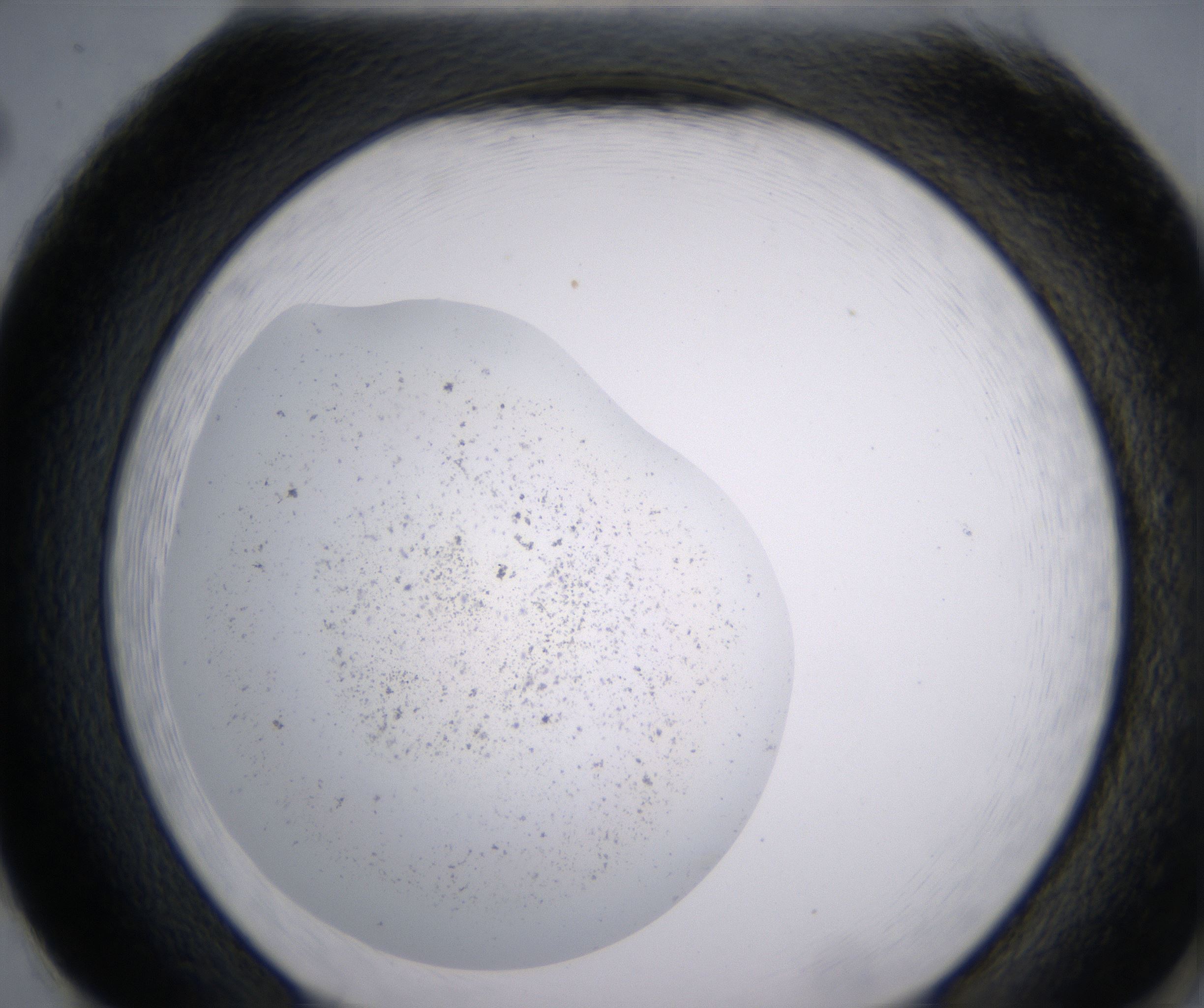 H2_HighResolution_Precipitate_2.jpg