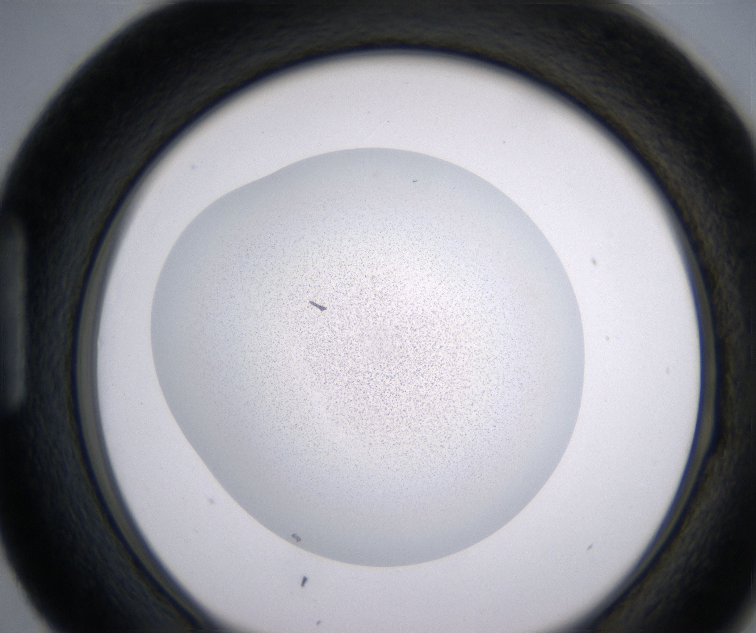 H3_HighResolution_Precipitate_1.jpg