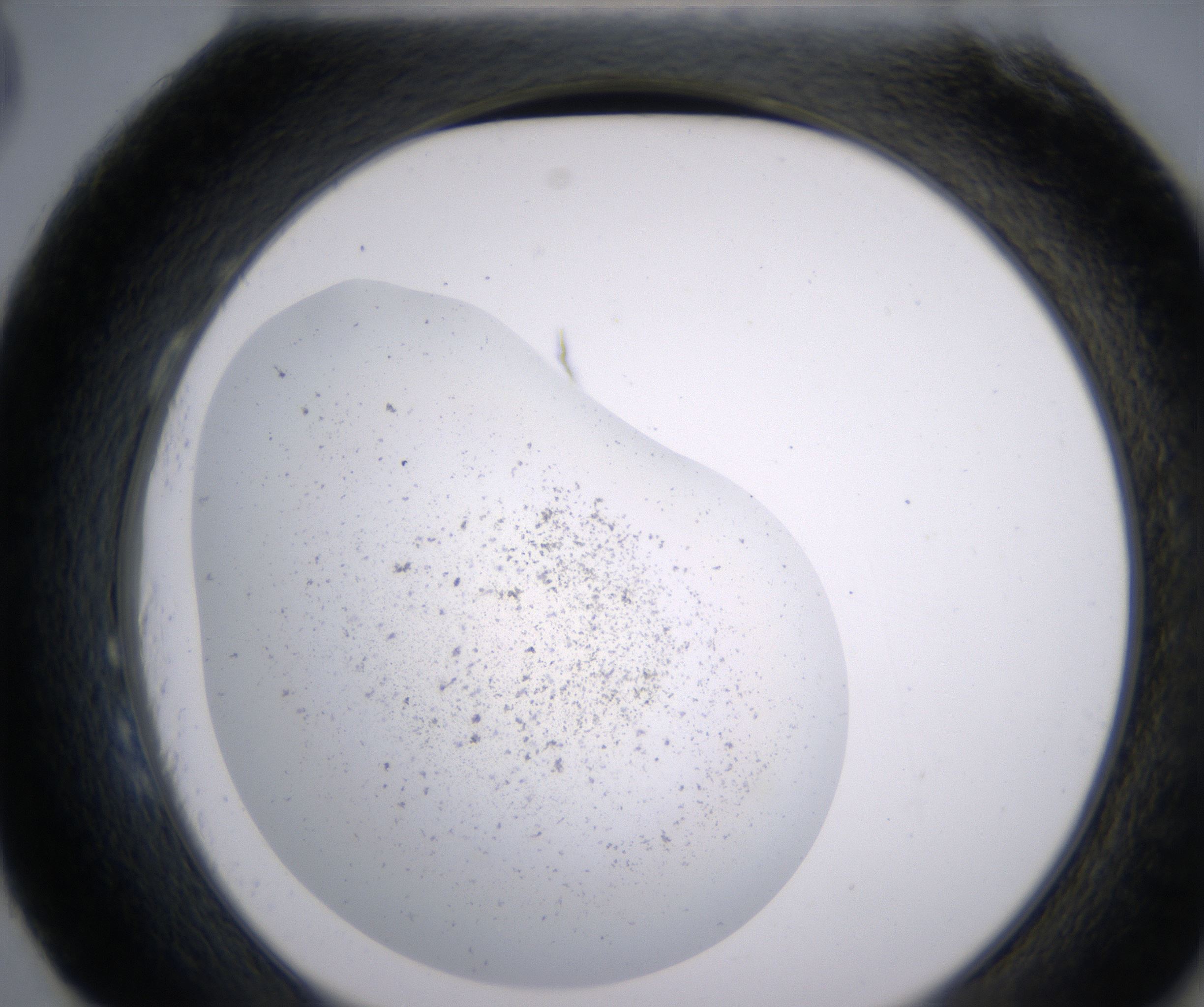 H3_HighResolution_Precipitate_2.jpg