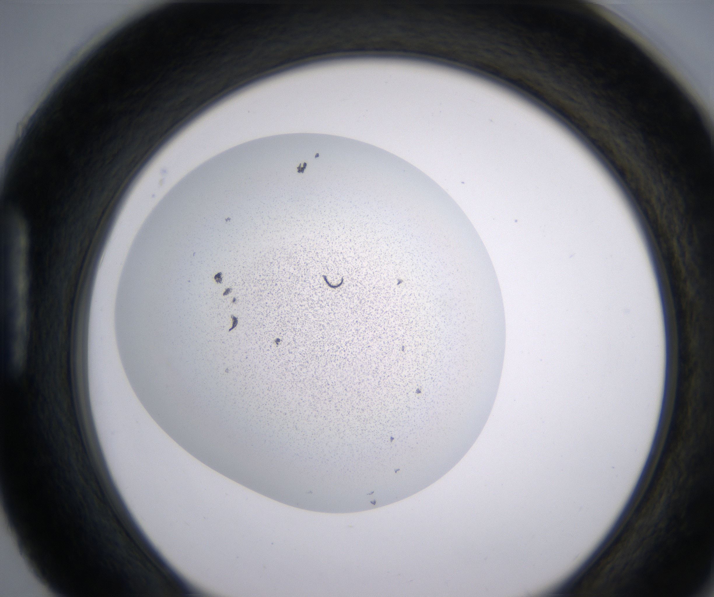 H4_HighResolution_Precipitate_1.jpg