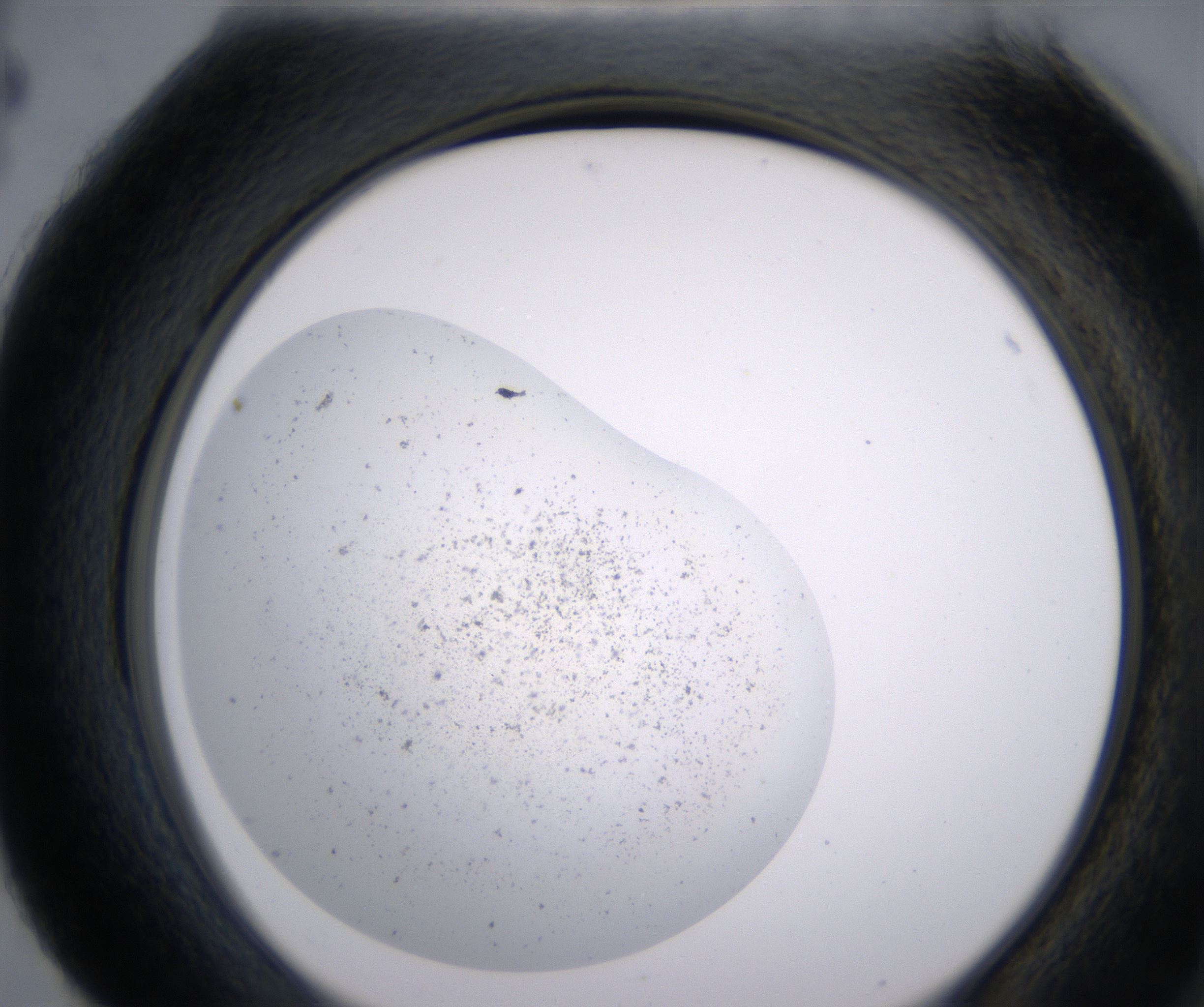 H4_HighResolution_Precipitate_2.jpg