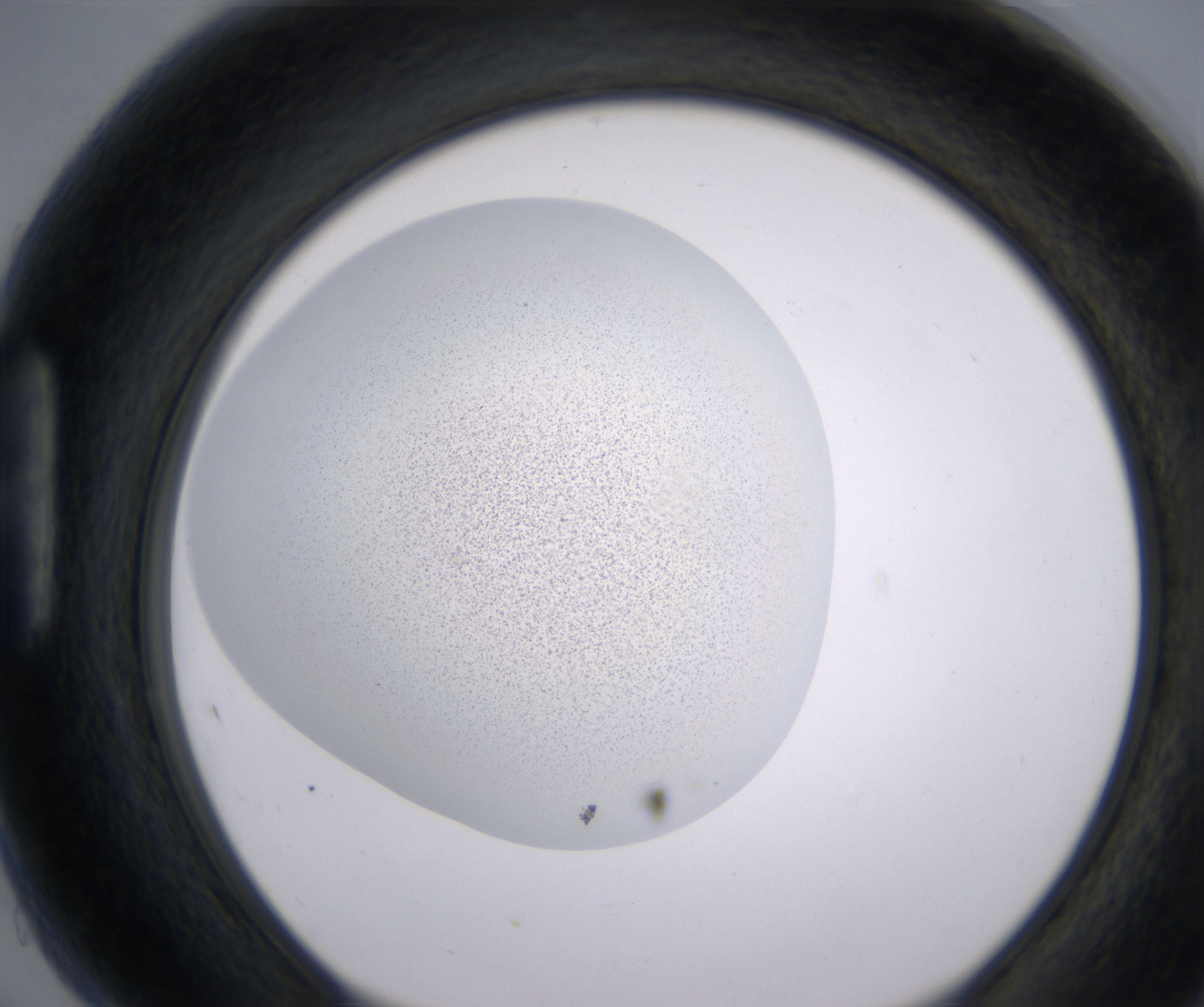 H5_HighResolution_Precipitate_1.jpg