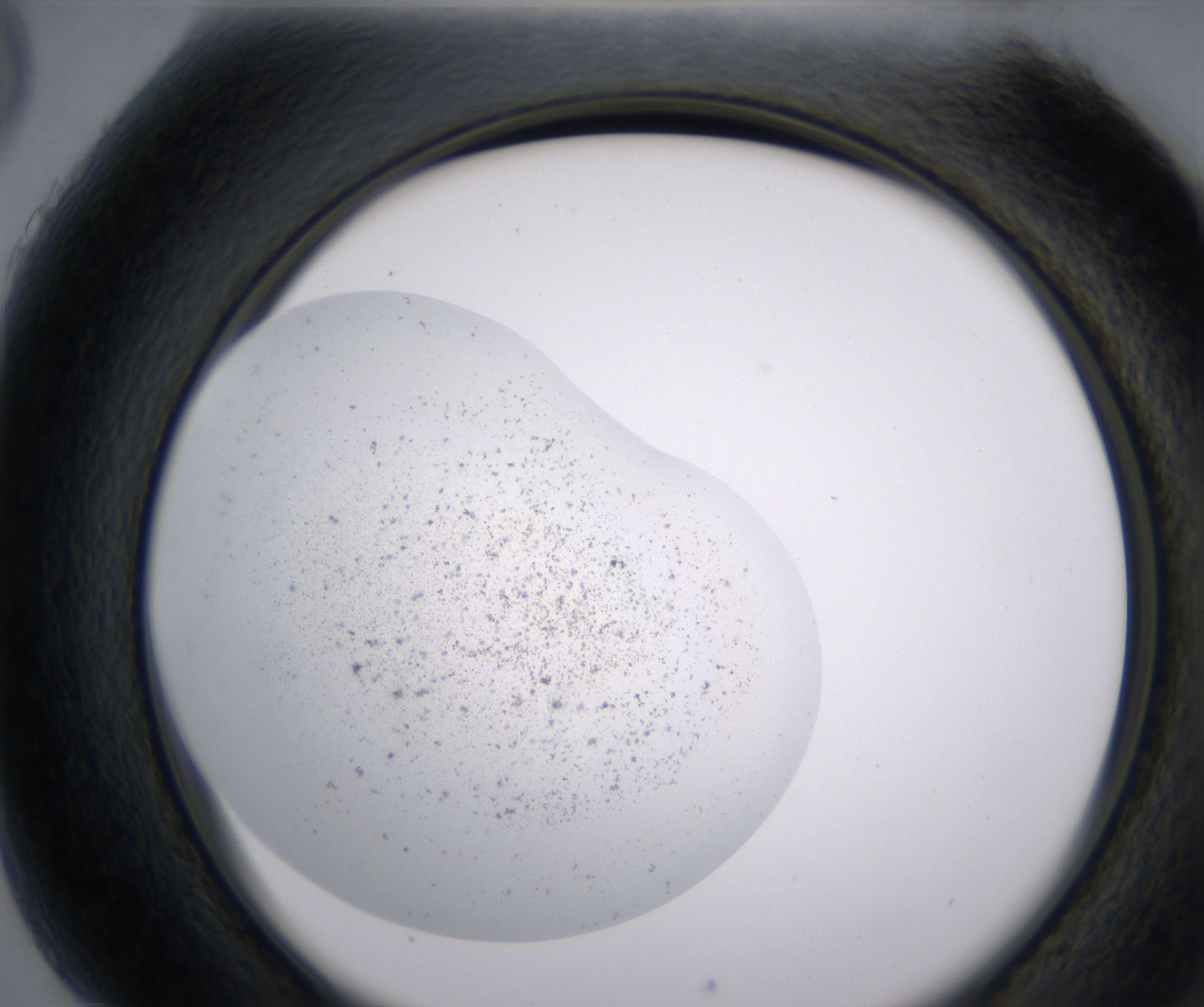 H5_HighResolution_Precipitate_2.jpg